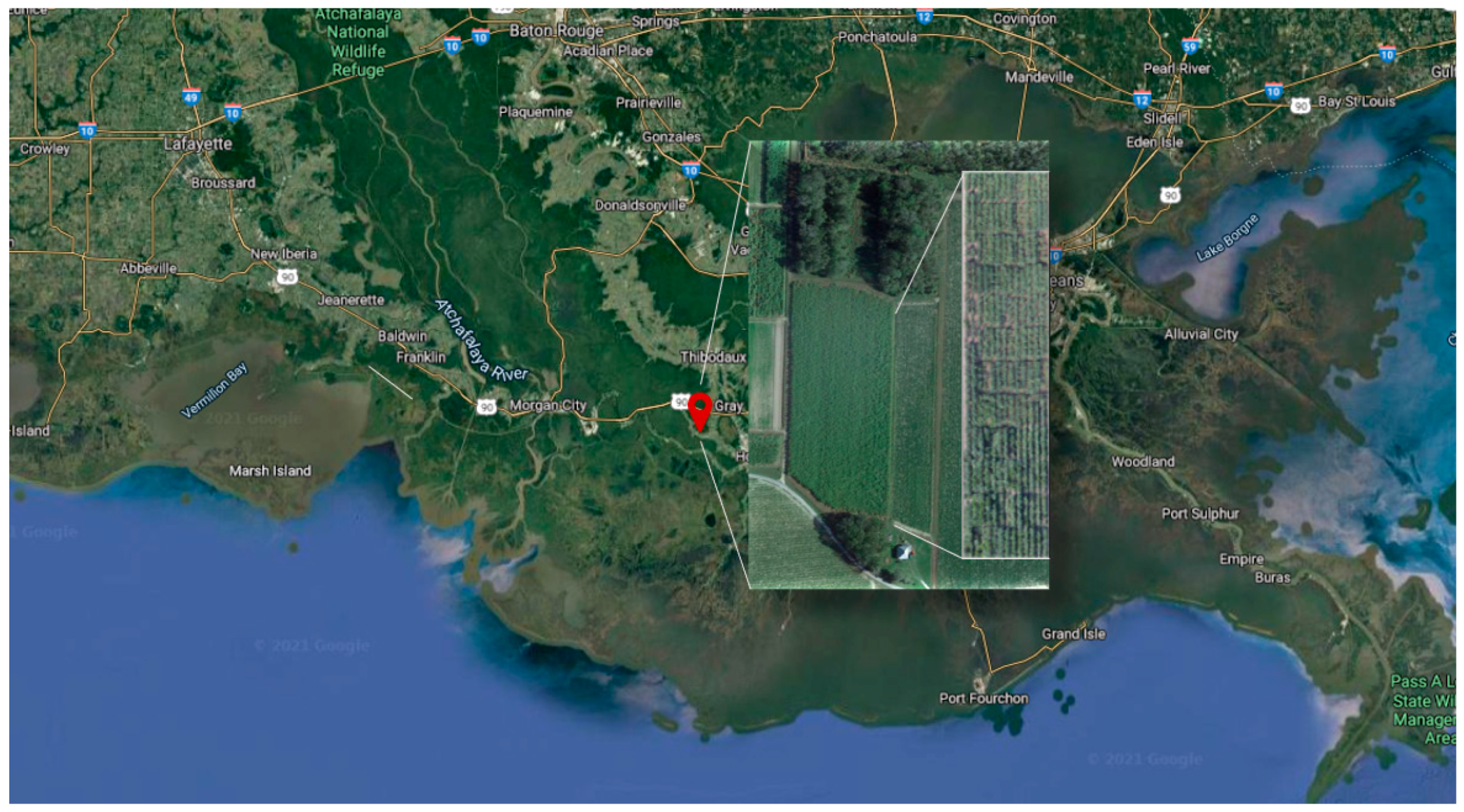 Agronomy 11 01273 g001