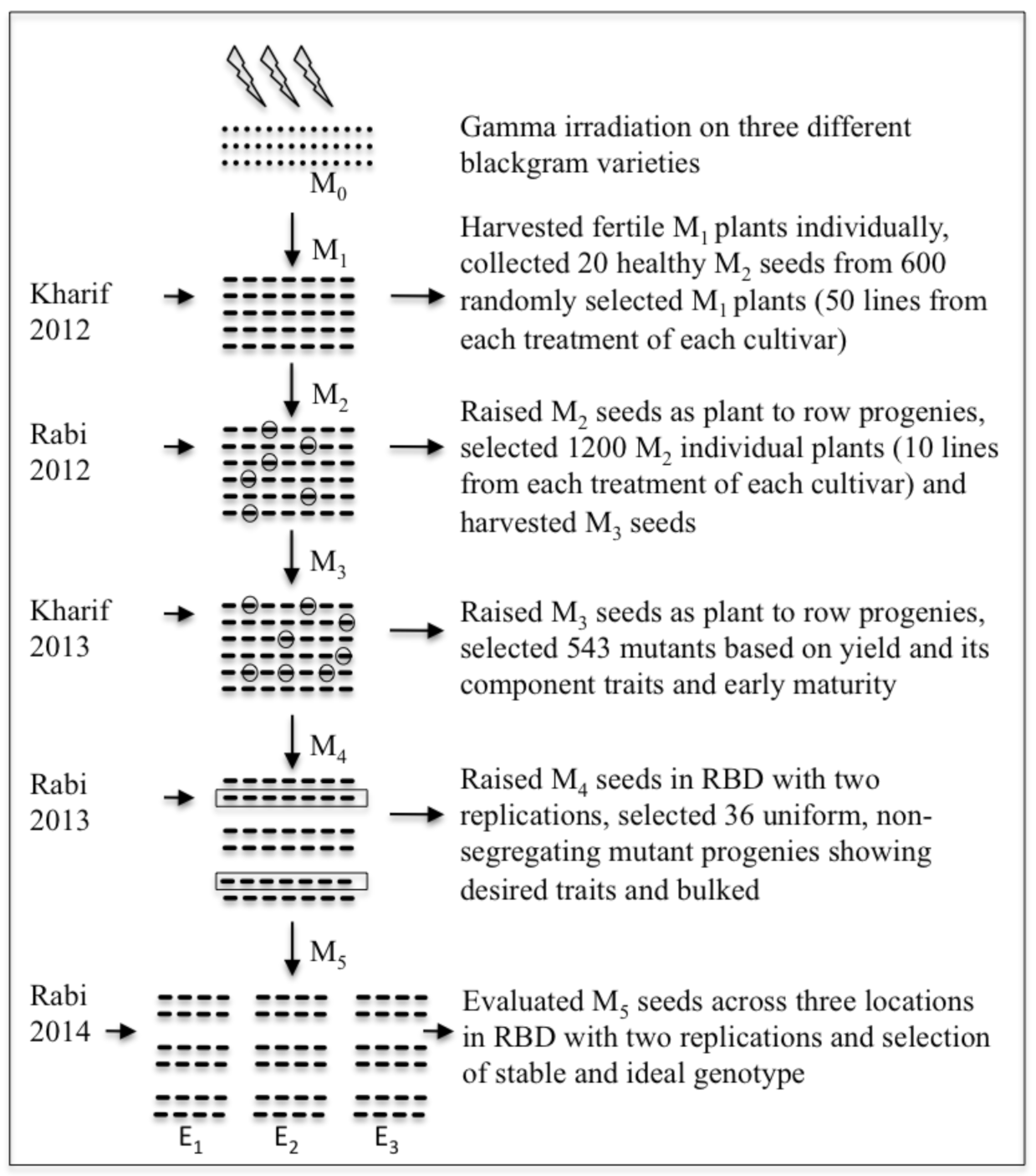 Agronomy 11 01287 g001