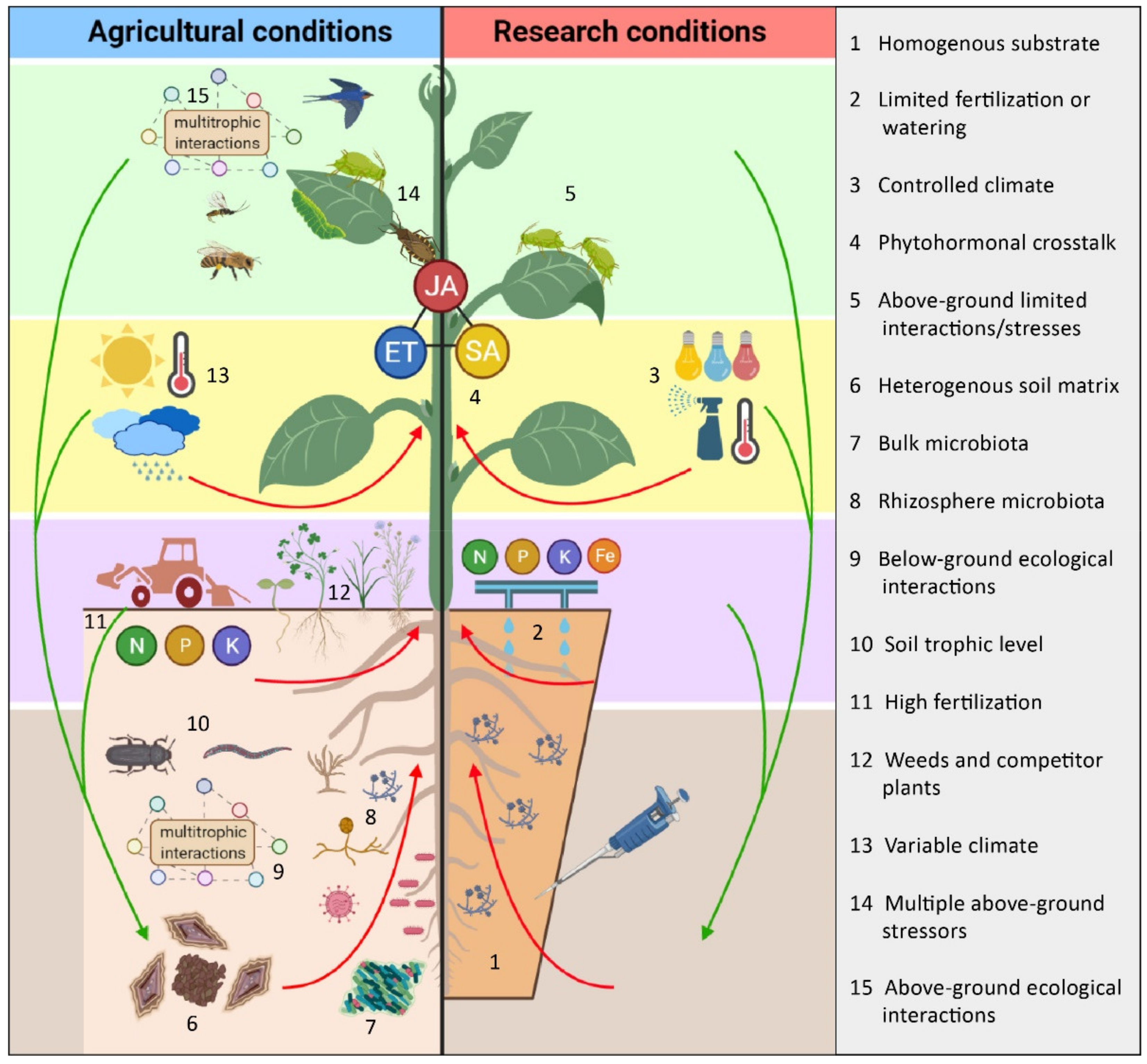 Agronomy 11 01293 g001