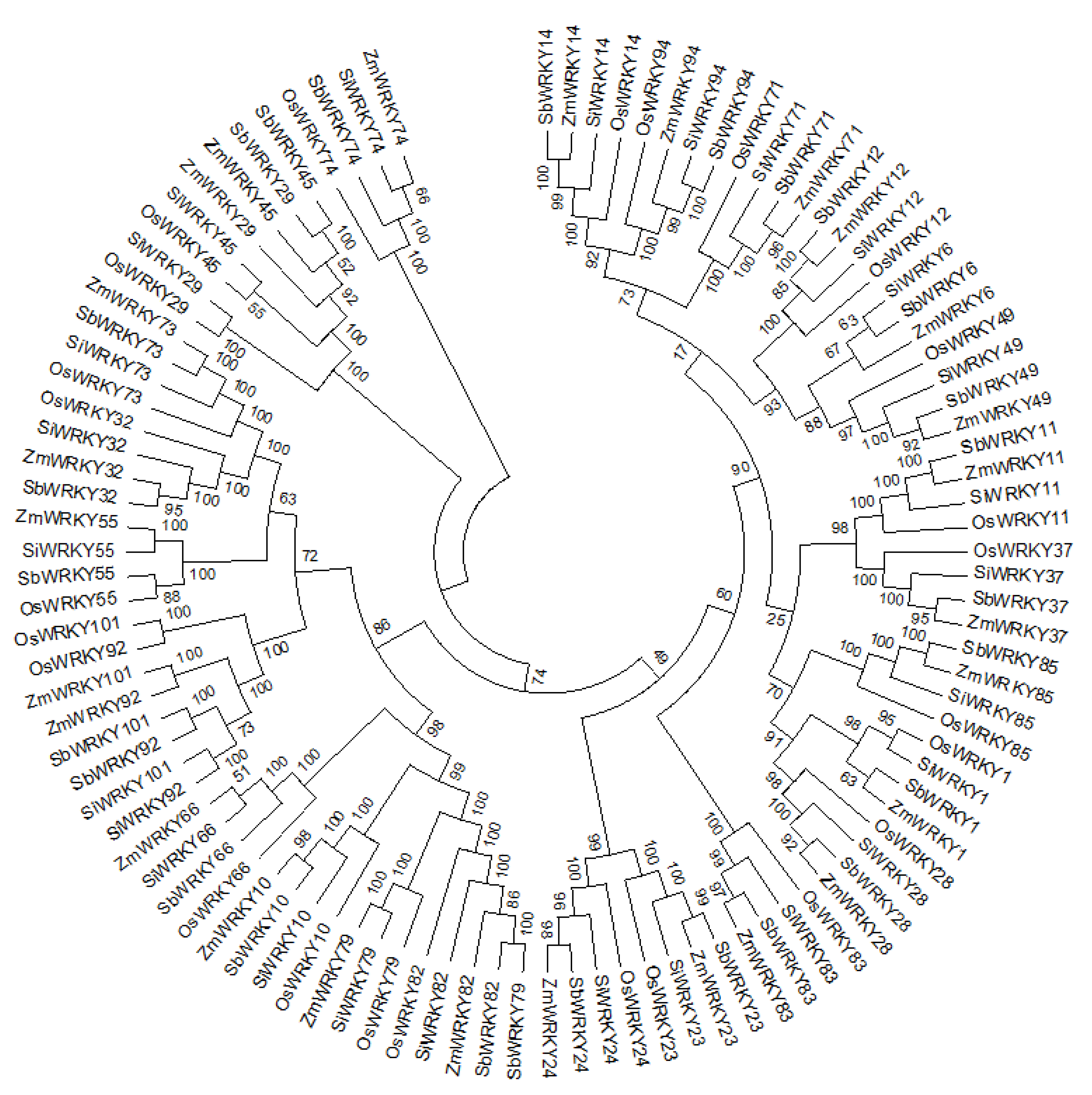 Agronomy 11 01301 g004 Agronomy 11 01301 g004