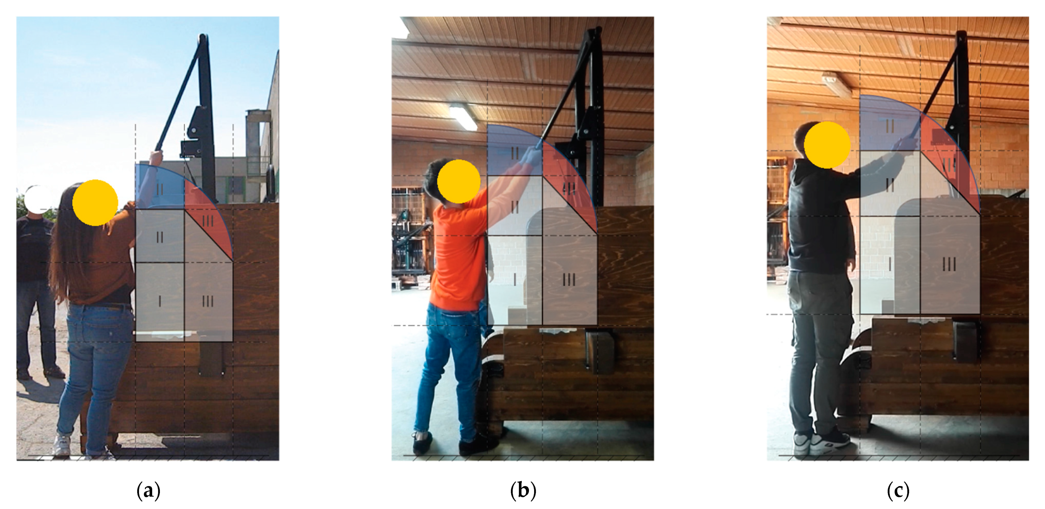 Agronomy 11 01303 g011 Agronomy 11 01303 g011