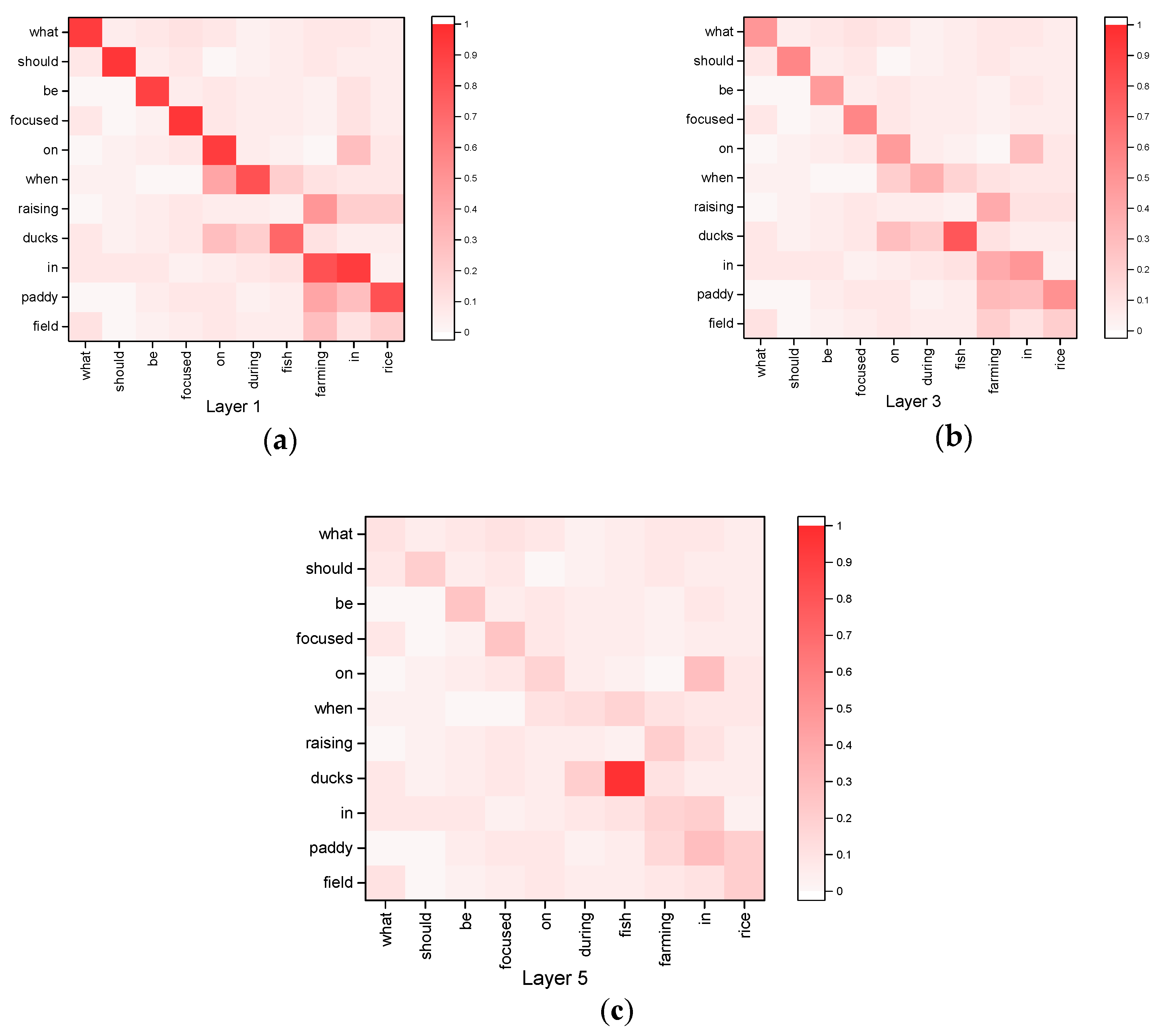 Agronomy 11 01307 g005 550