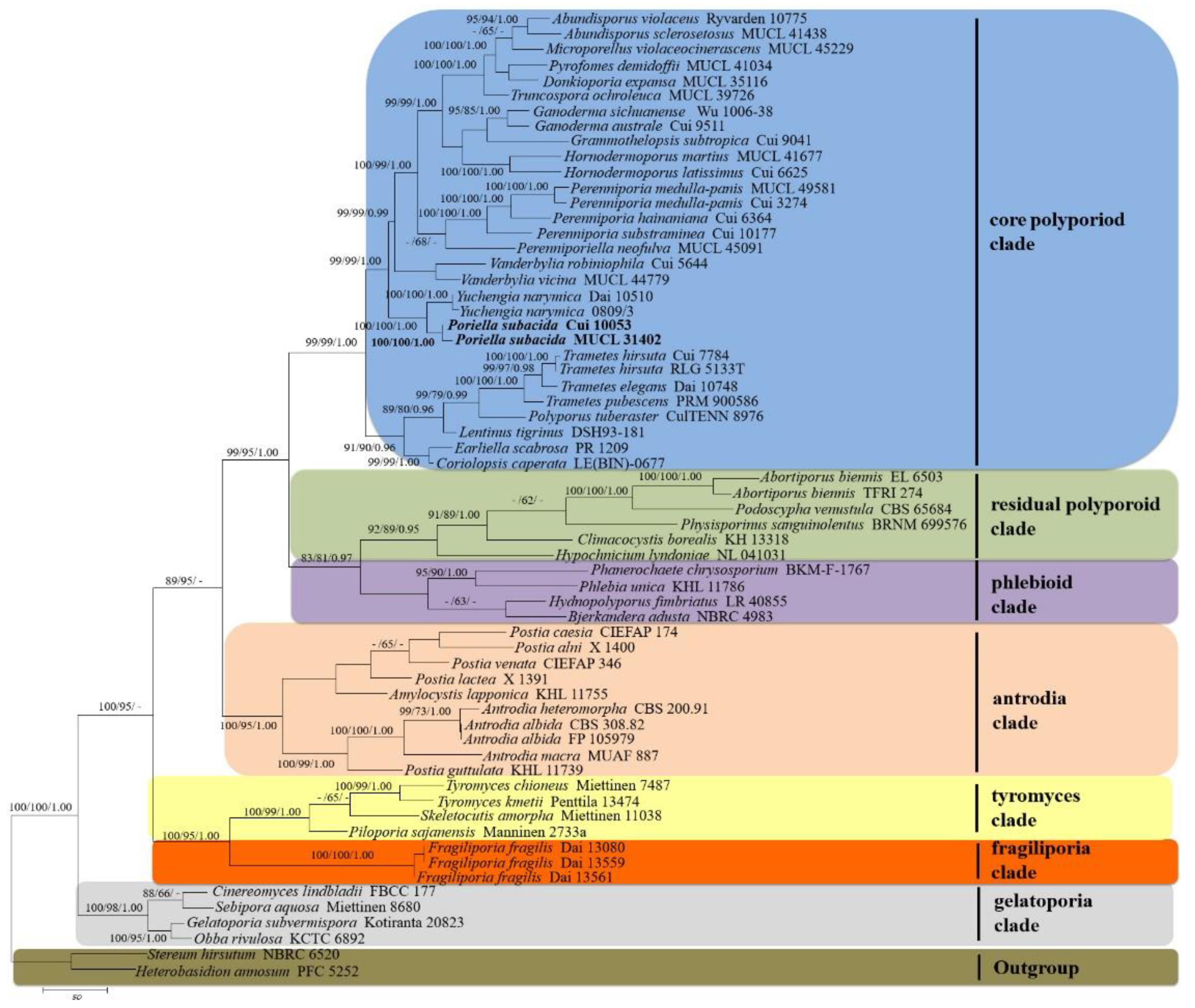 Agronomy 11 01308 g001 550