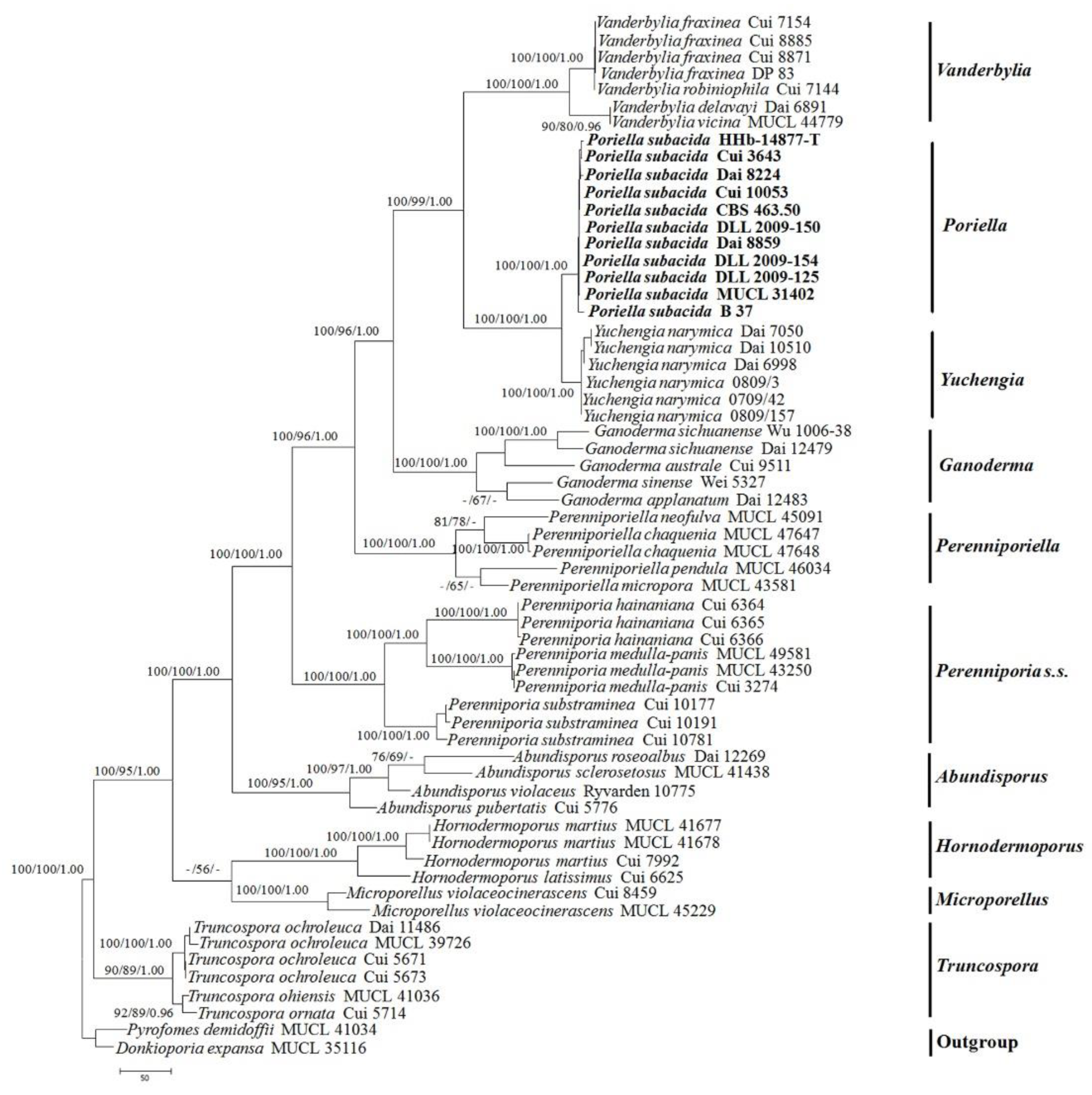 Agronomy 11 01308 g002 550