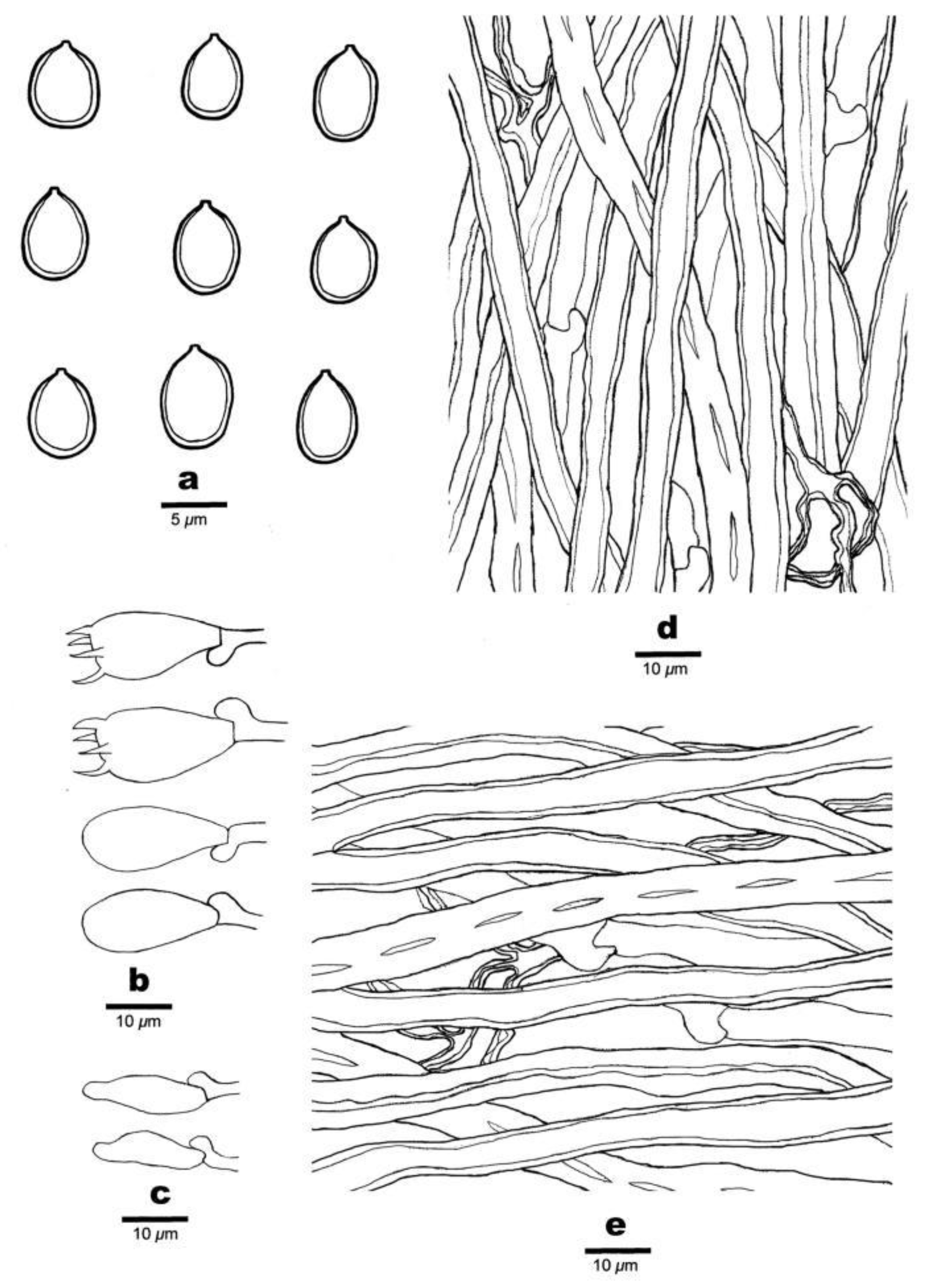 Agronomy 11 01308 g004 550