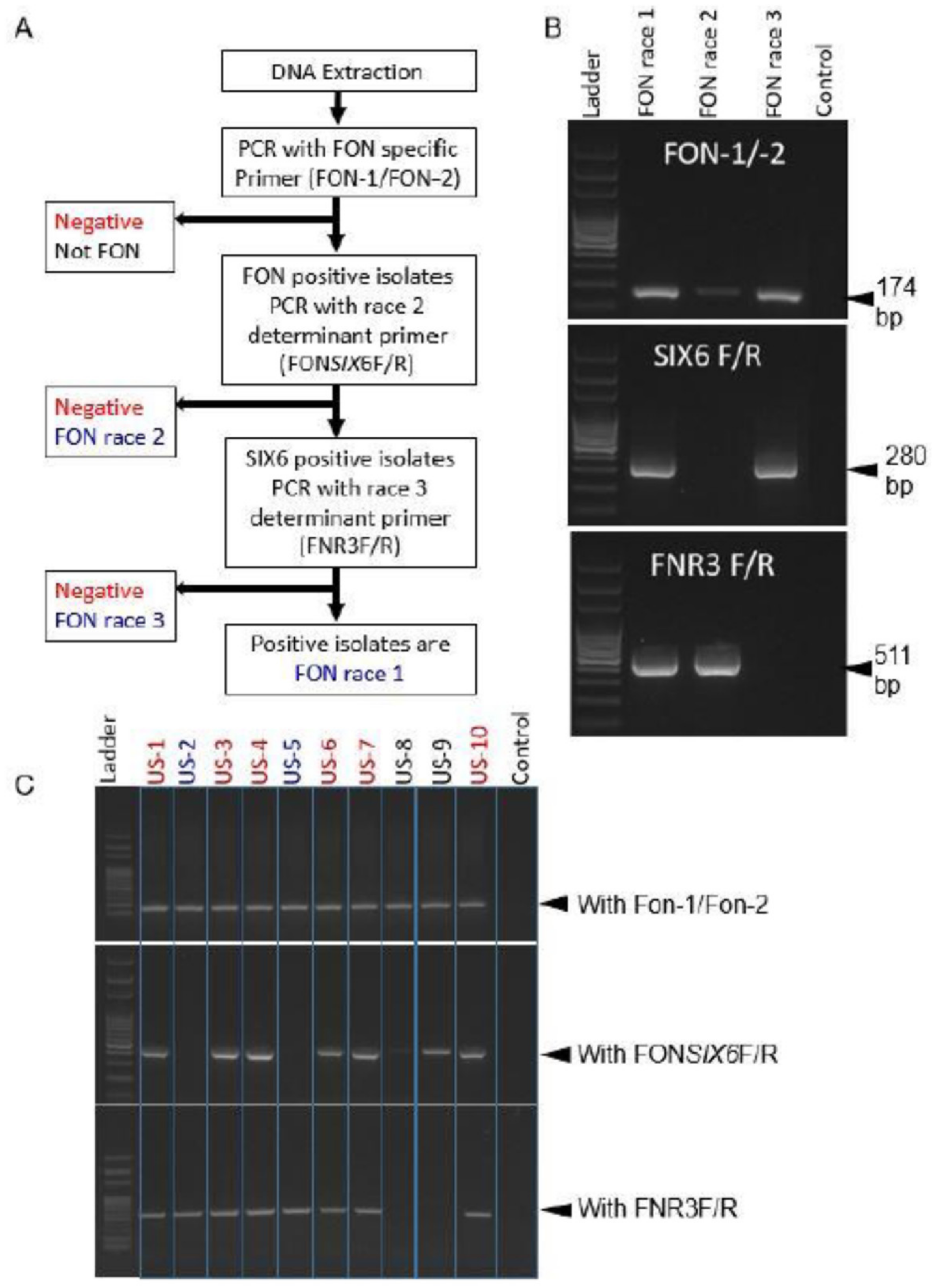 Agronomy 11 01310 g003