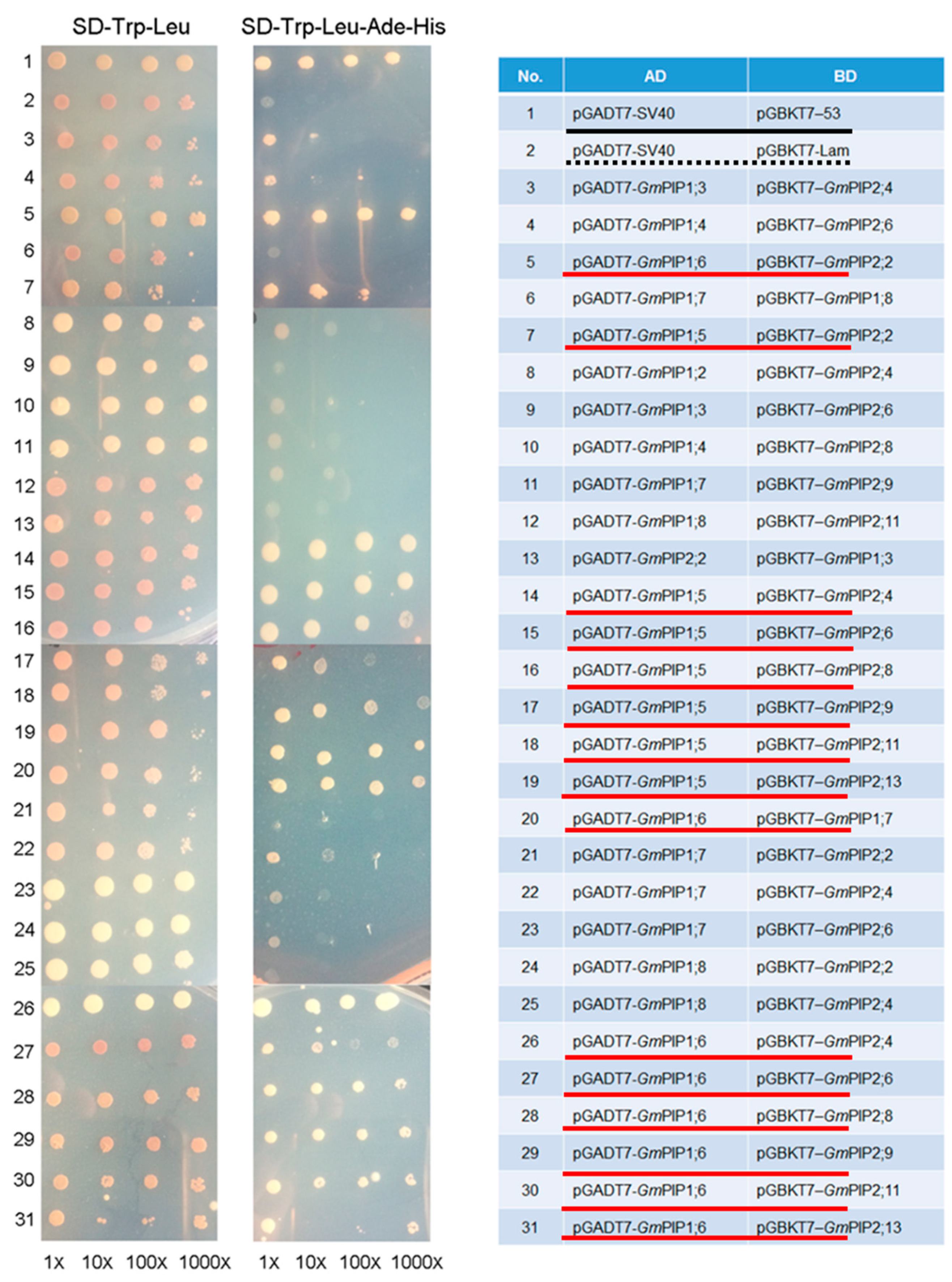 Agronomy 11 01312 g002