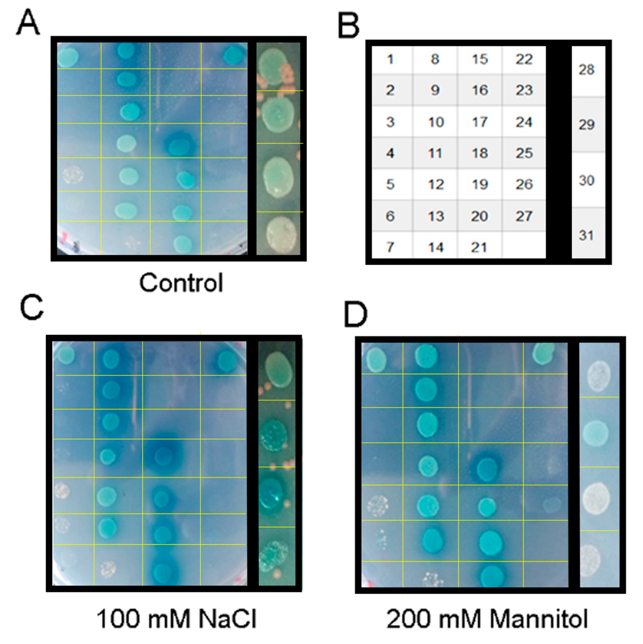 Agronomy 11 01312 g003