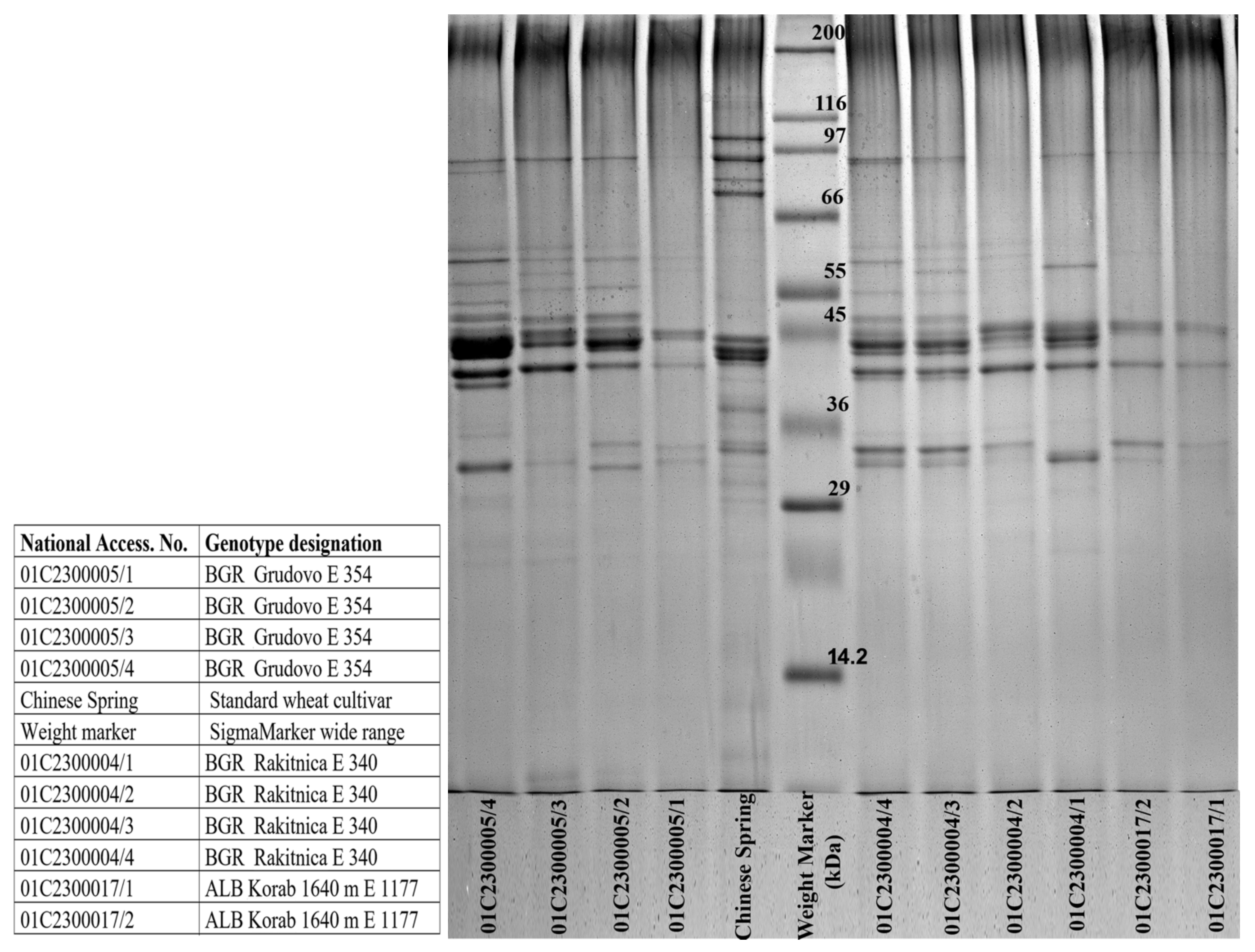 Agronomy 11 01316 g003 Agronomy 11 01316 g003