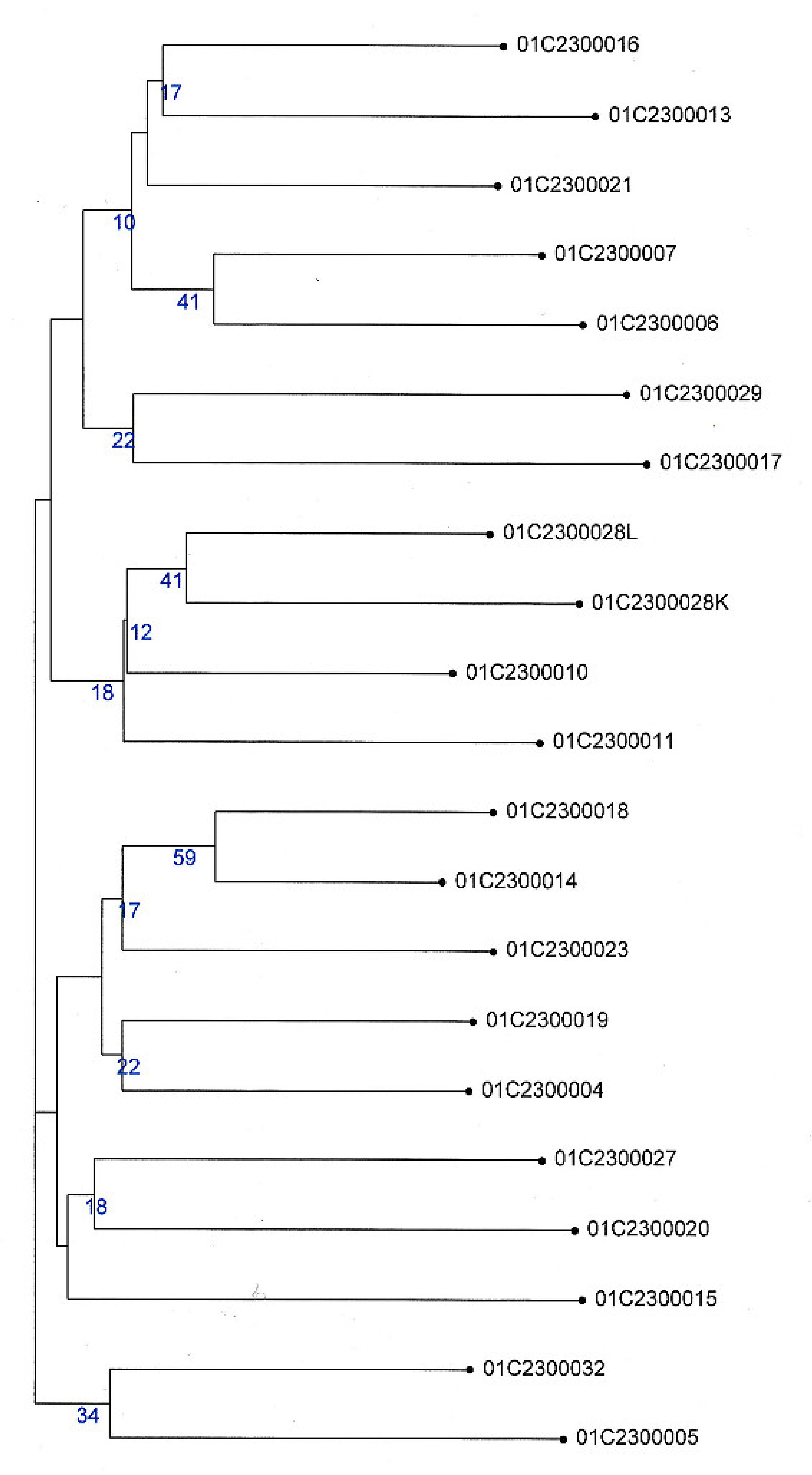 Agronomy 11 01316 g007 Agronomy 11 01316 g007