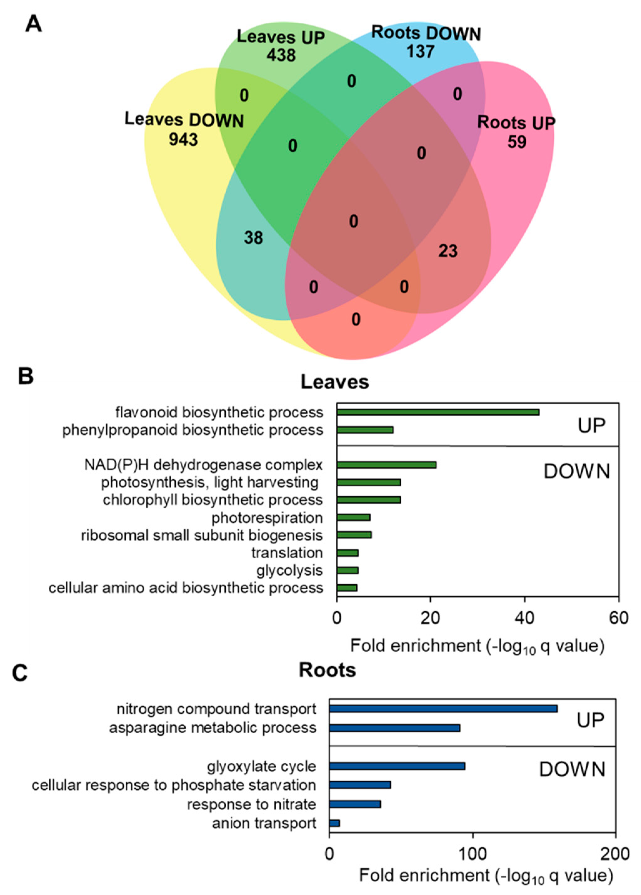 Agronomy 11 01320 g004 550