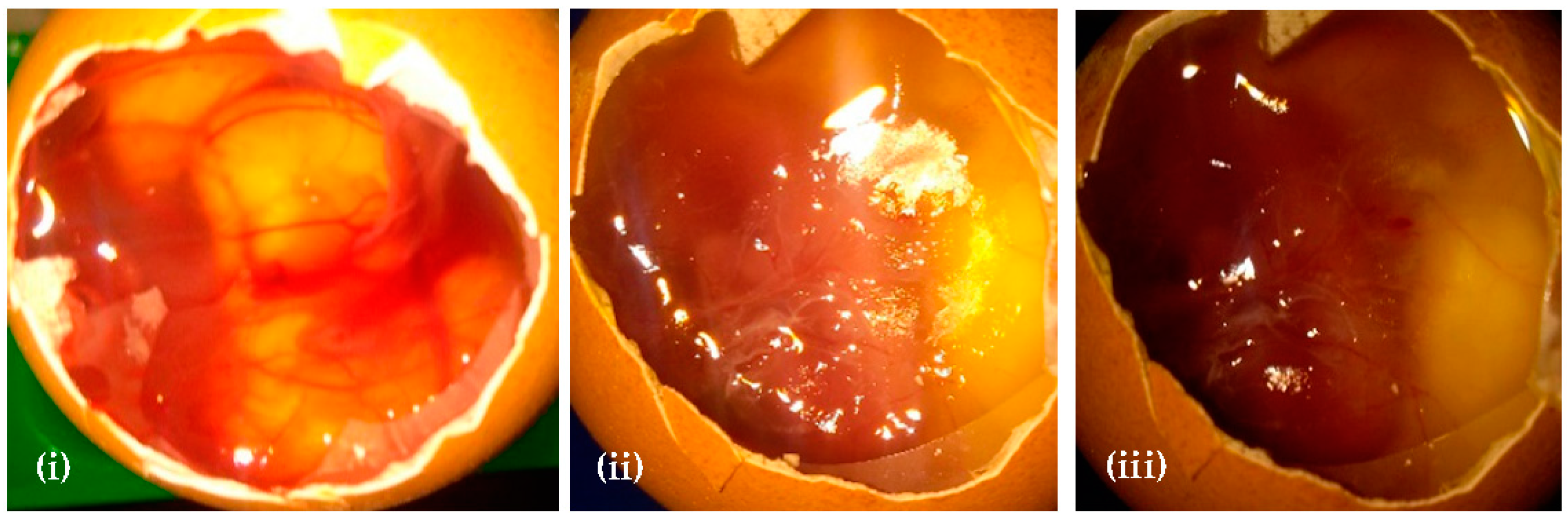 Agronomy 11 01327 g006 Agronomy 11 01327 g006