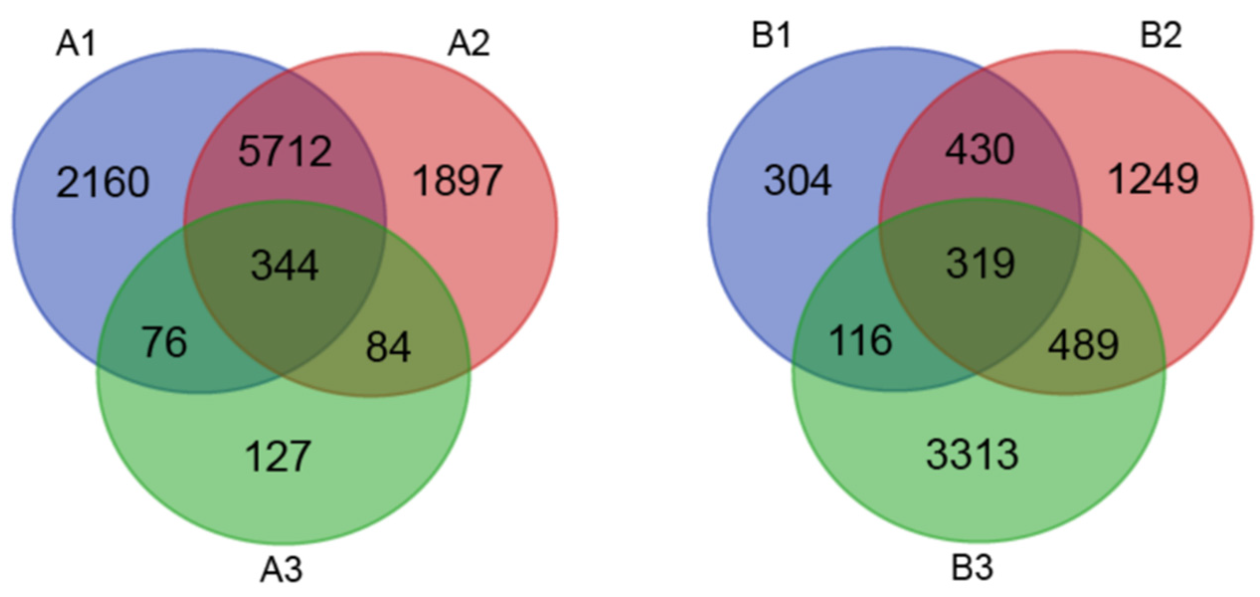 Agronomy 11 01328 g002 550