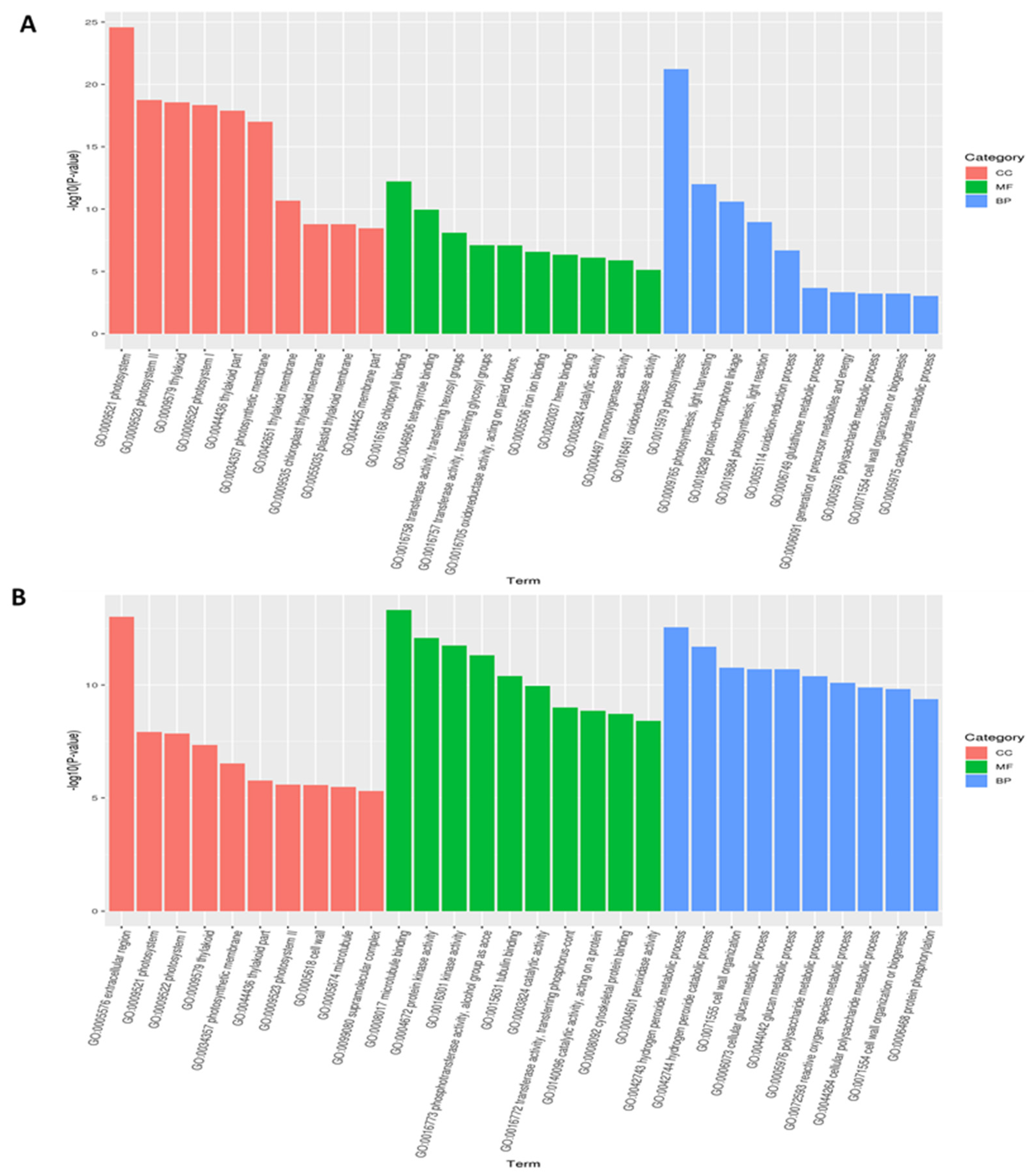 Agronomy 11 01328 g003 550