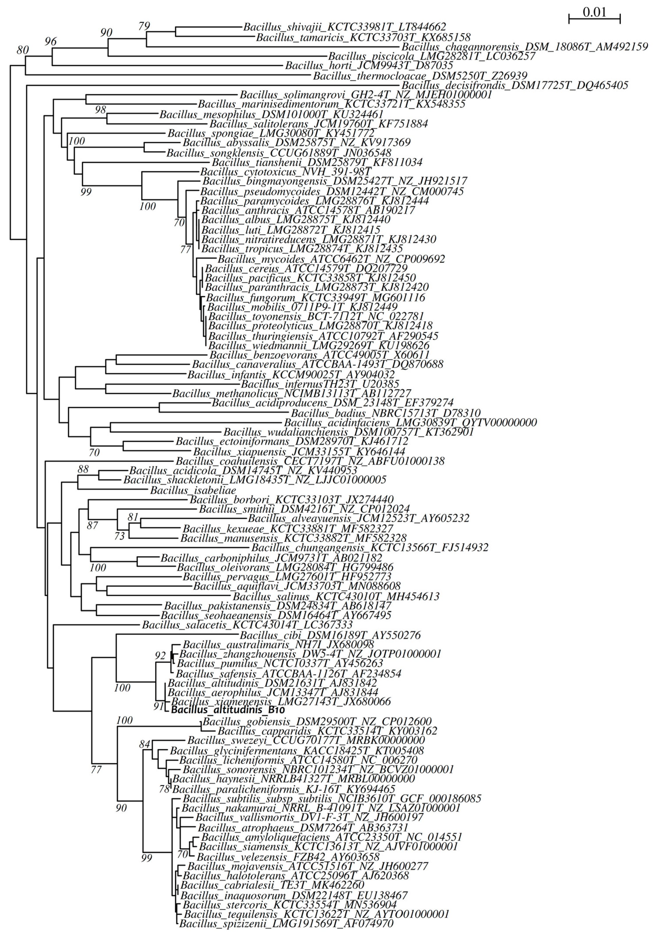 Agronomy 11 01344 g003