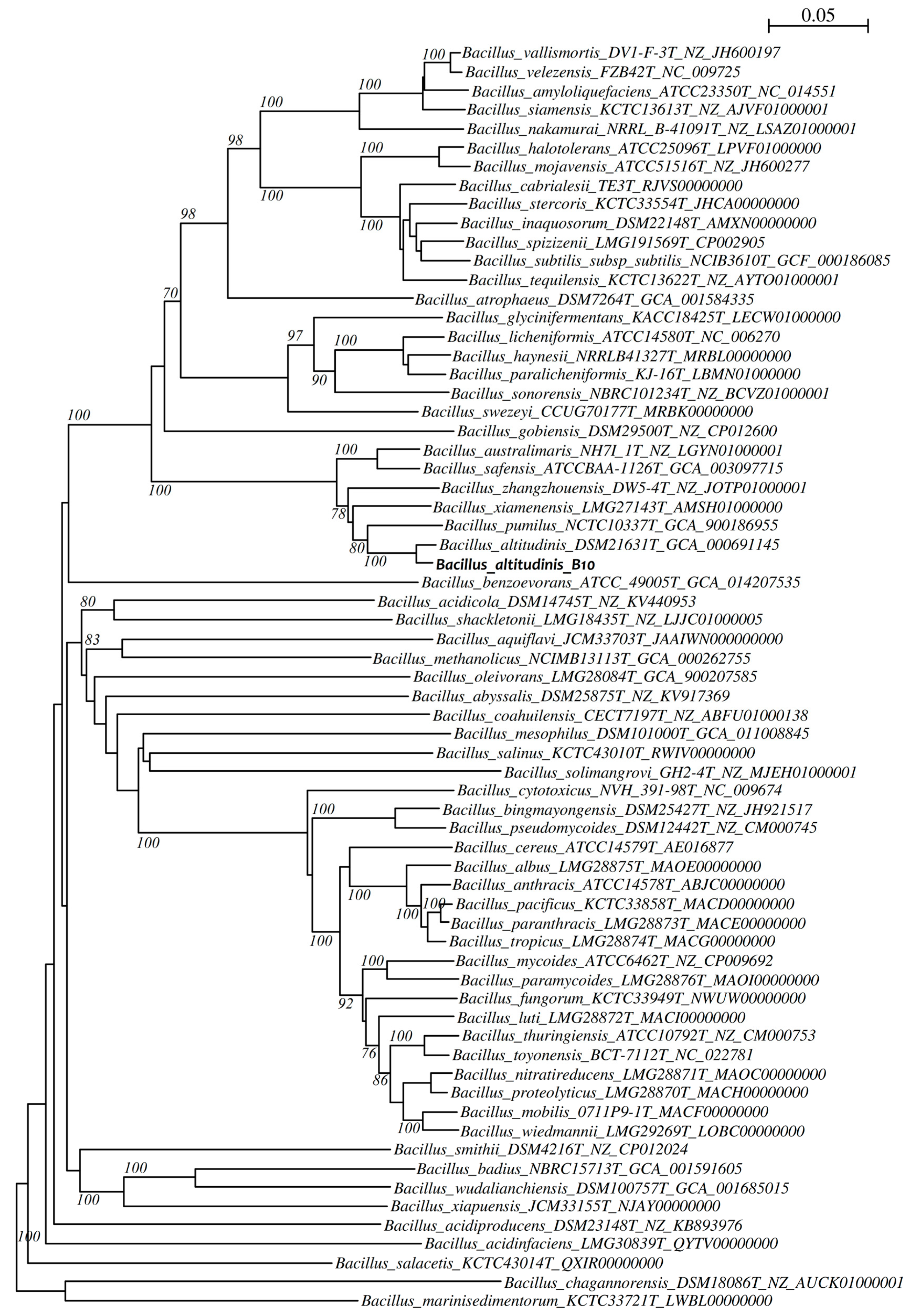 Agronomy 11 01344 g006