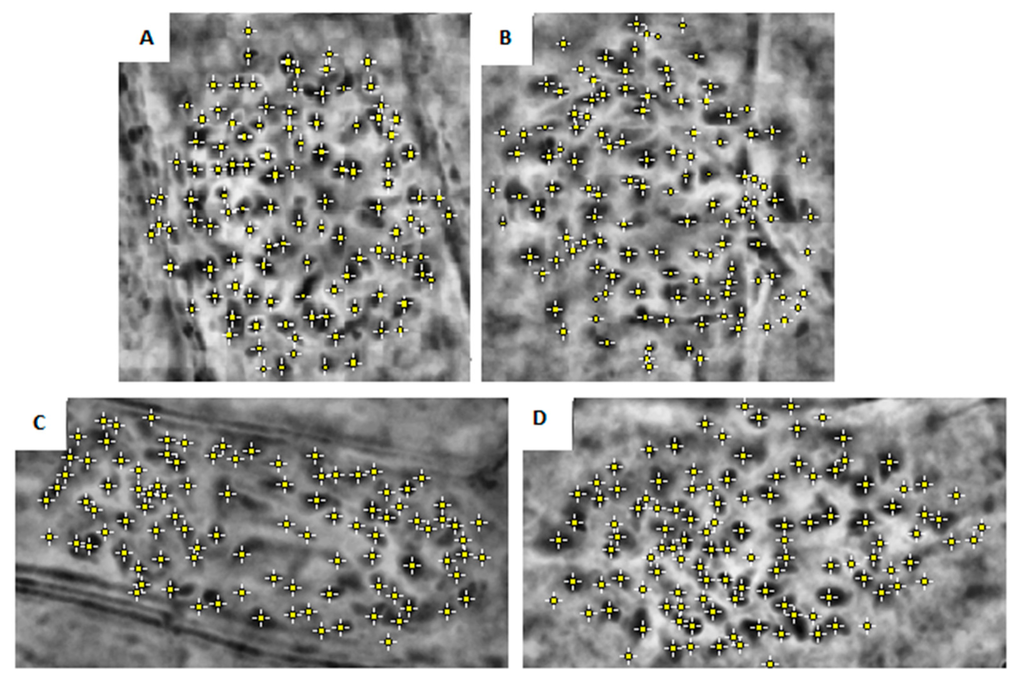 Agronomy 11 01347 g001 550