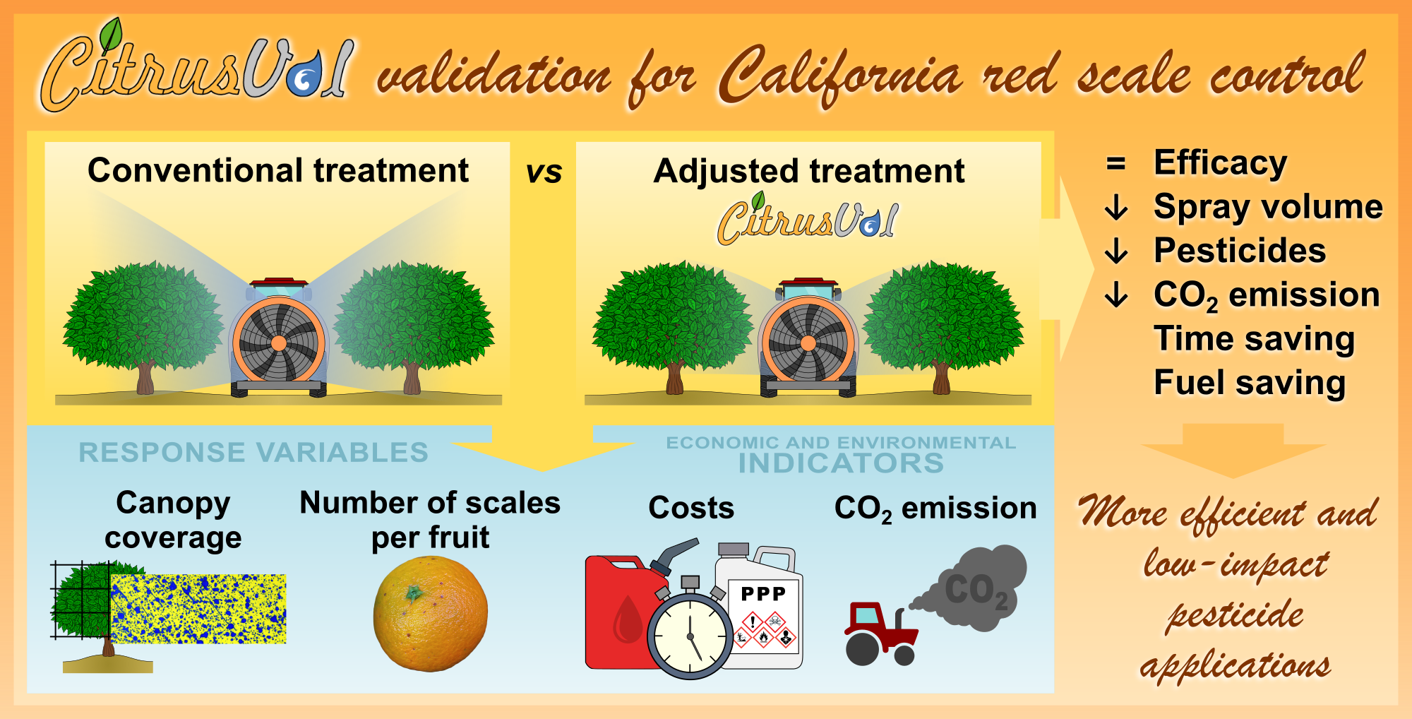 Agronomy Free Full Text Volume Rate Adjustment For Pesticide Applications Against Aonidiella Aurantii In Citrus Validation Of Citrusvol In The Growers Practice