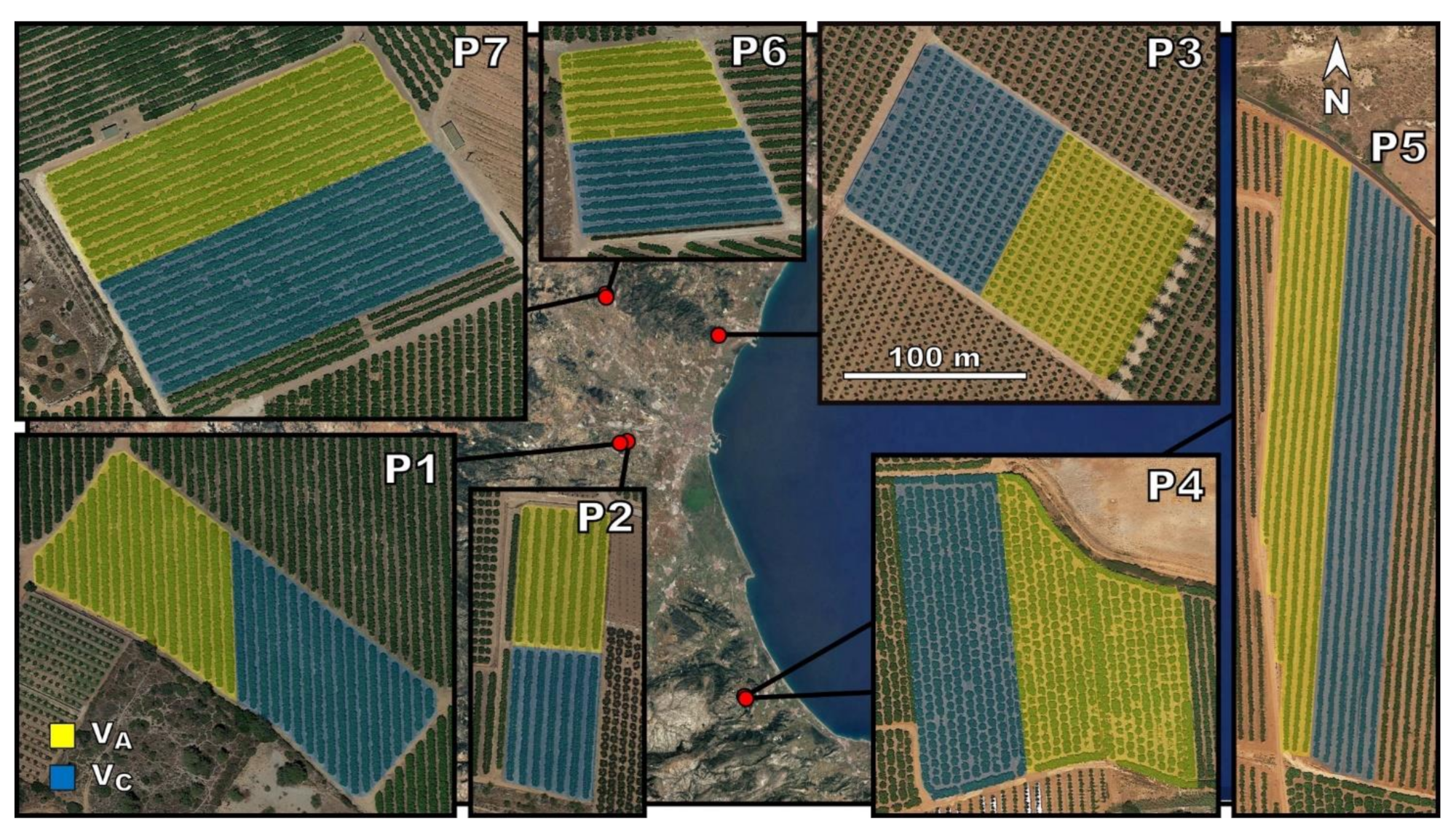 Agronomy 11 01350 g001 550
