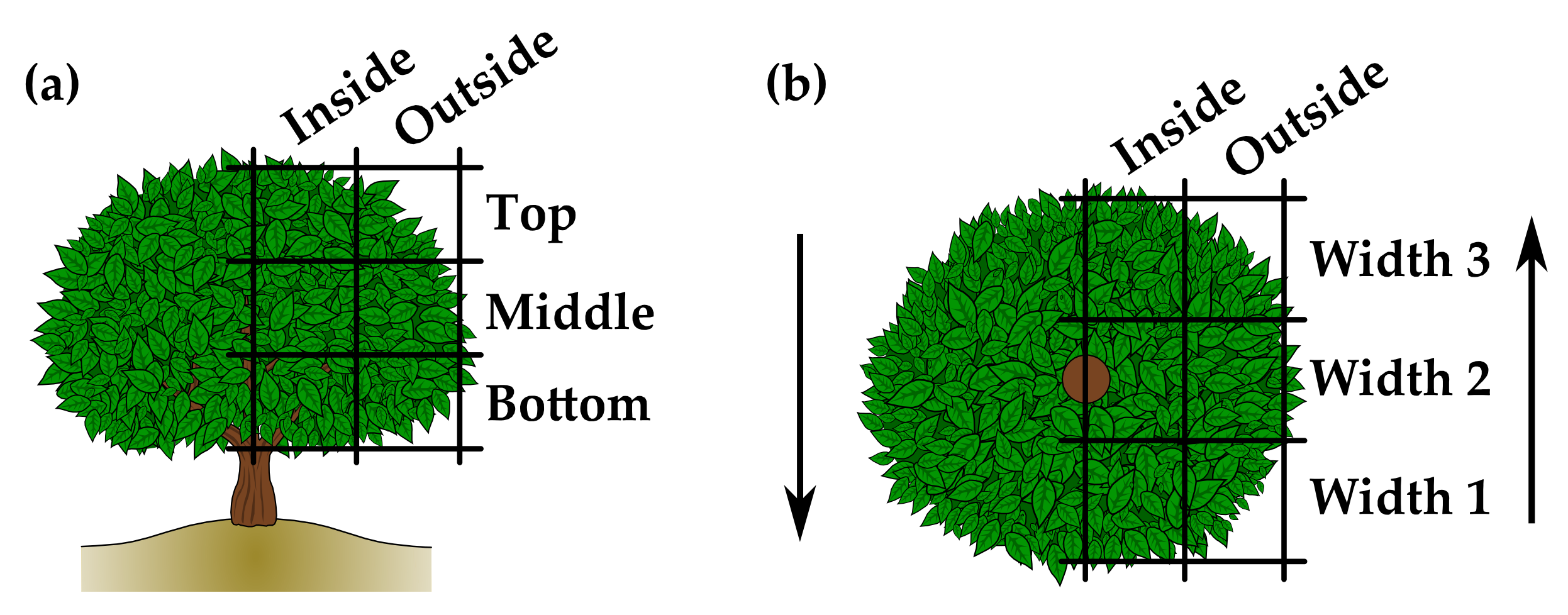 Agronomy 11 01350 g002 550