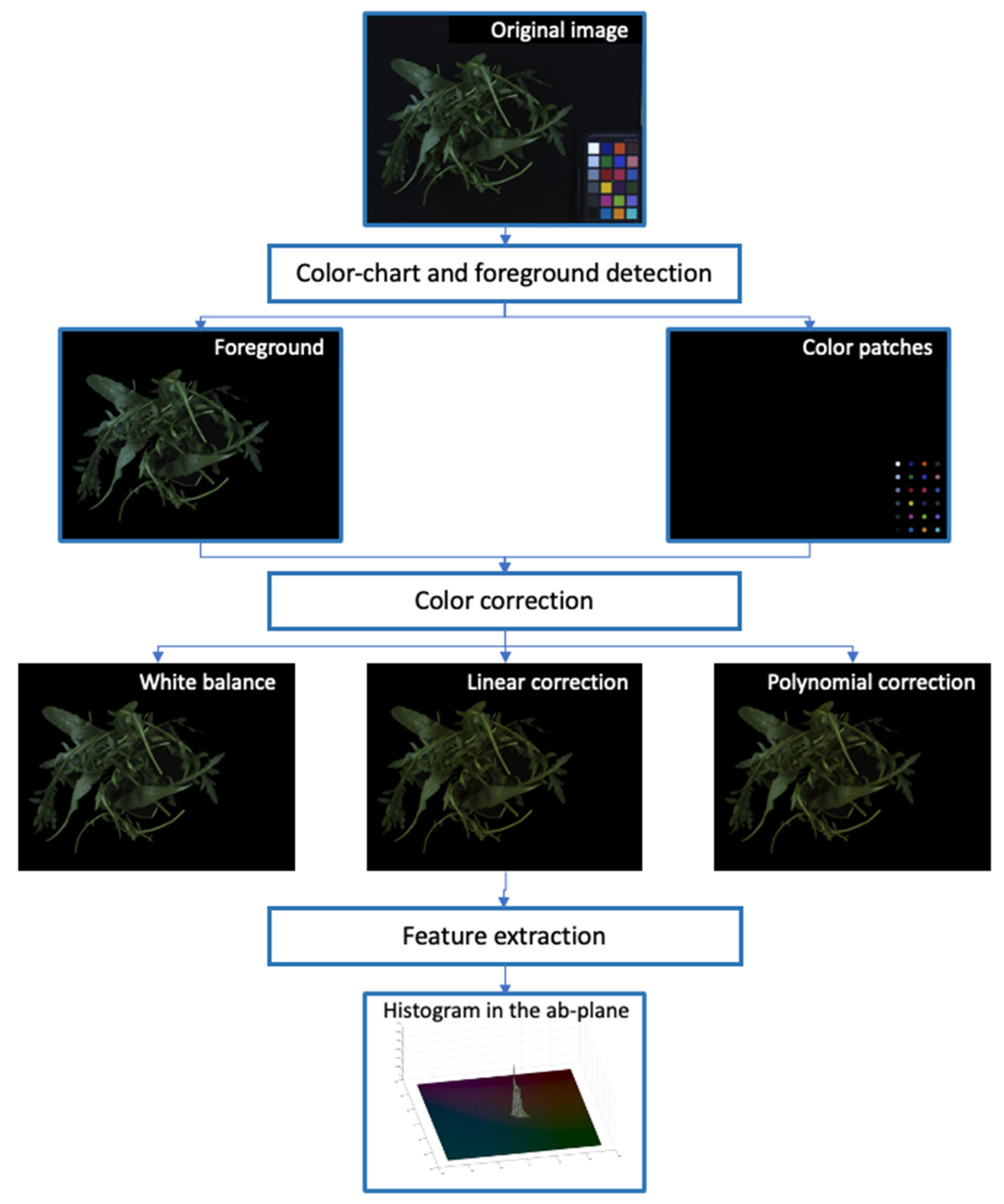 Agronomy 11 01353 g002 550