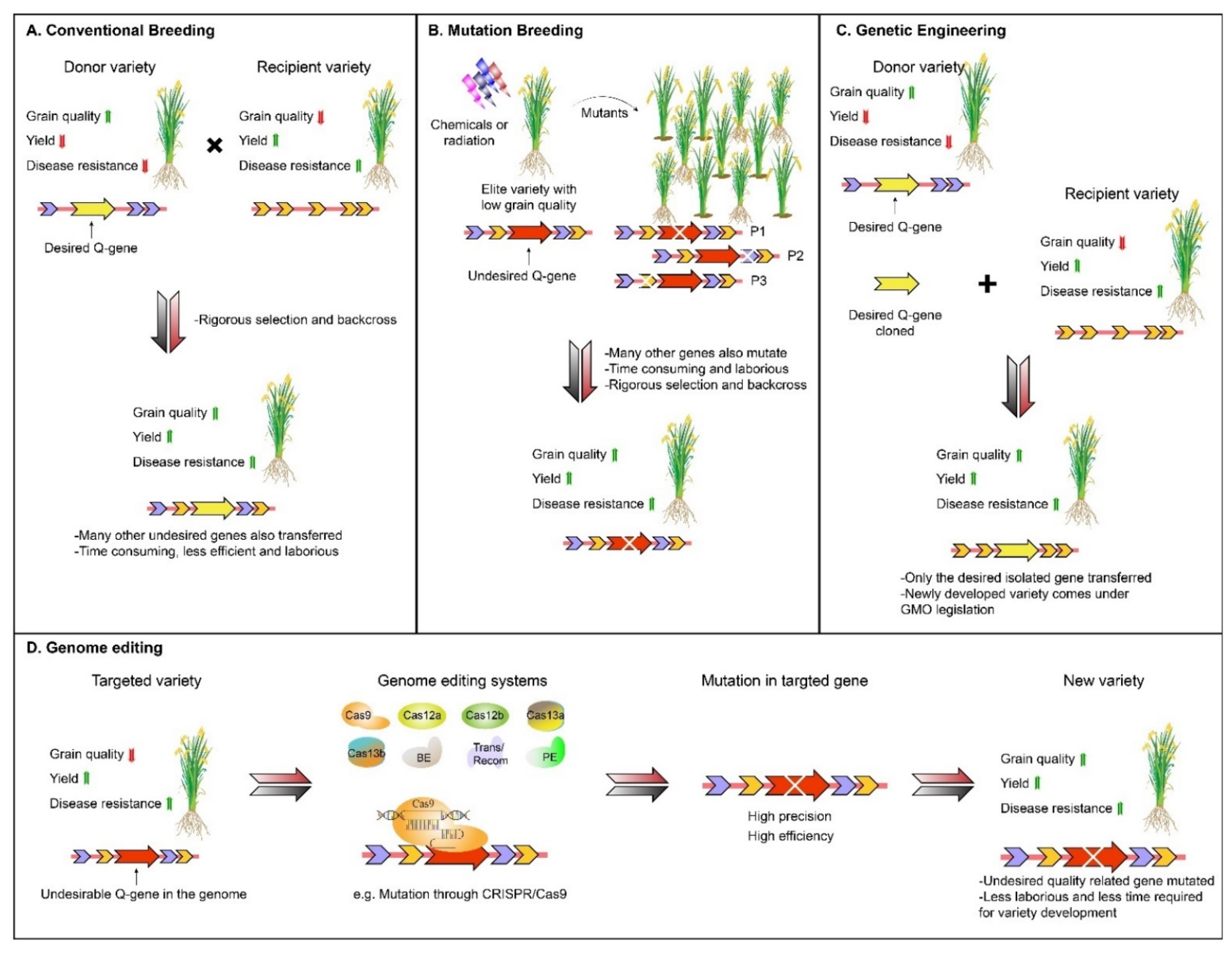 Agronomy 11 01359 g001 550
