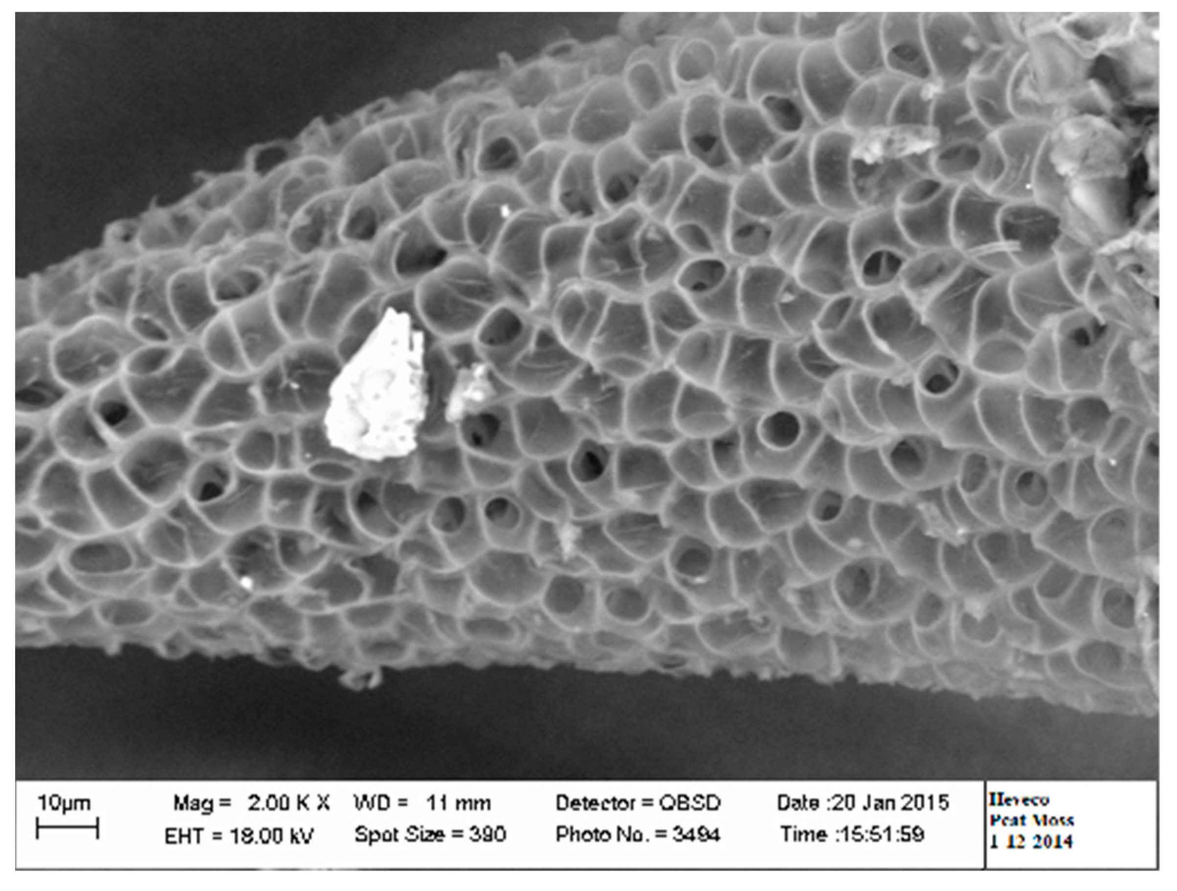 Agronomy 11 01366 g003 550