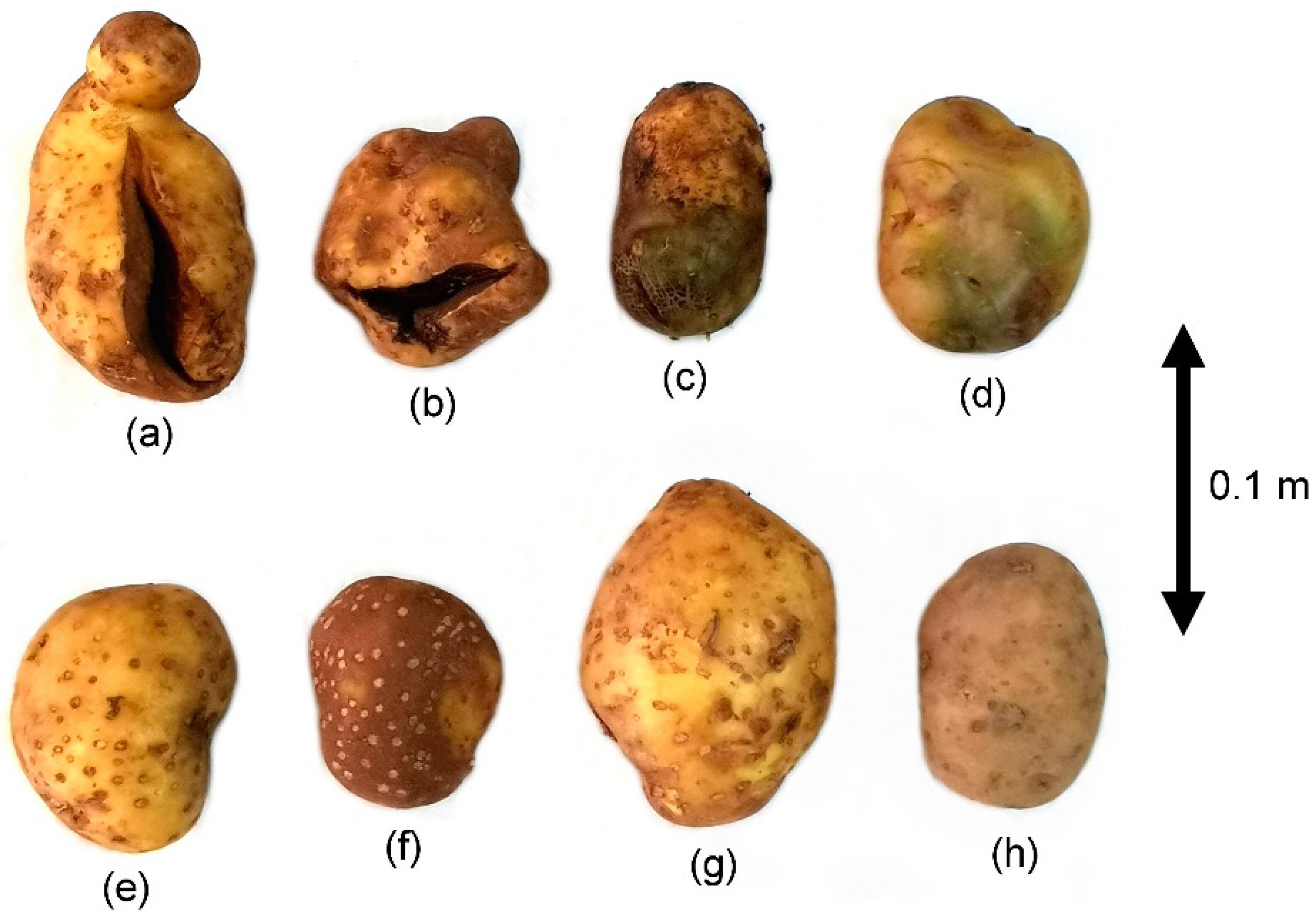 Agronomy 11 01369 g002 550