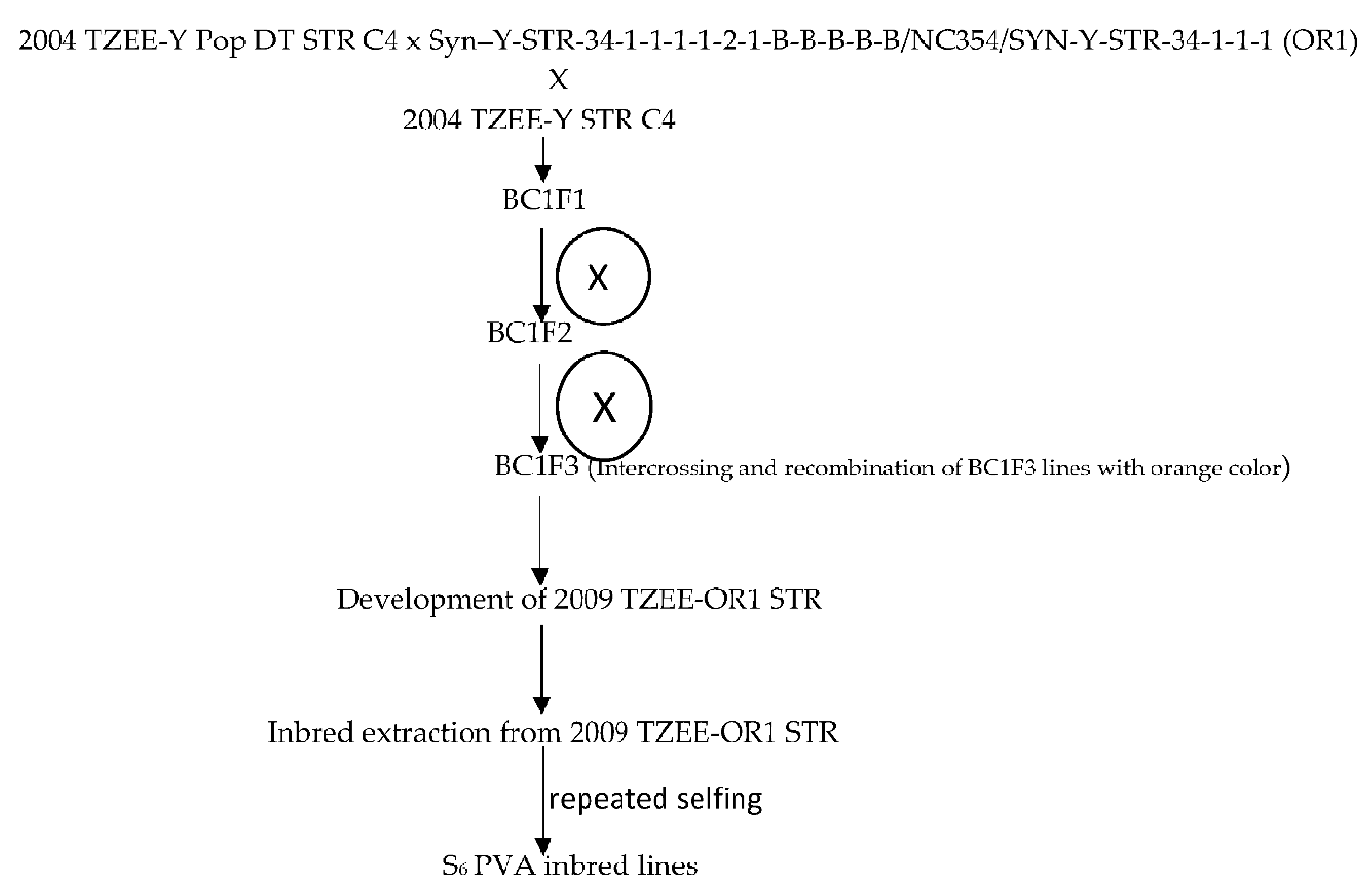 Agronomy 11 01371 g001 550