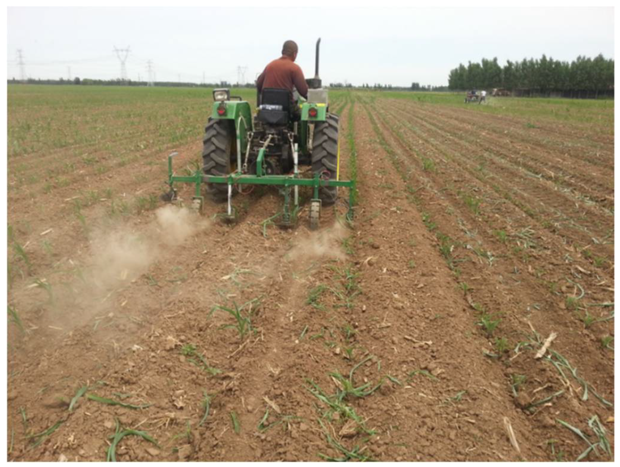 Agronomy 11 01376 g003