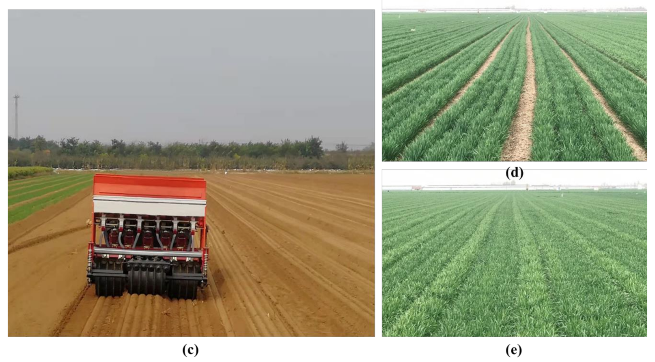 Agronomy 11 01378 g001b 550