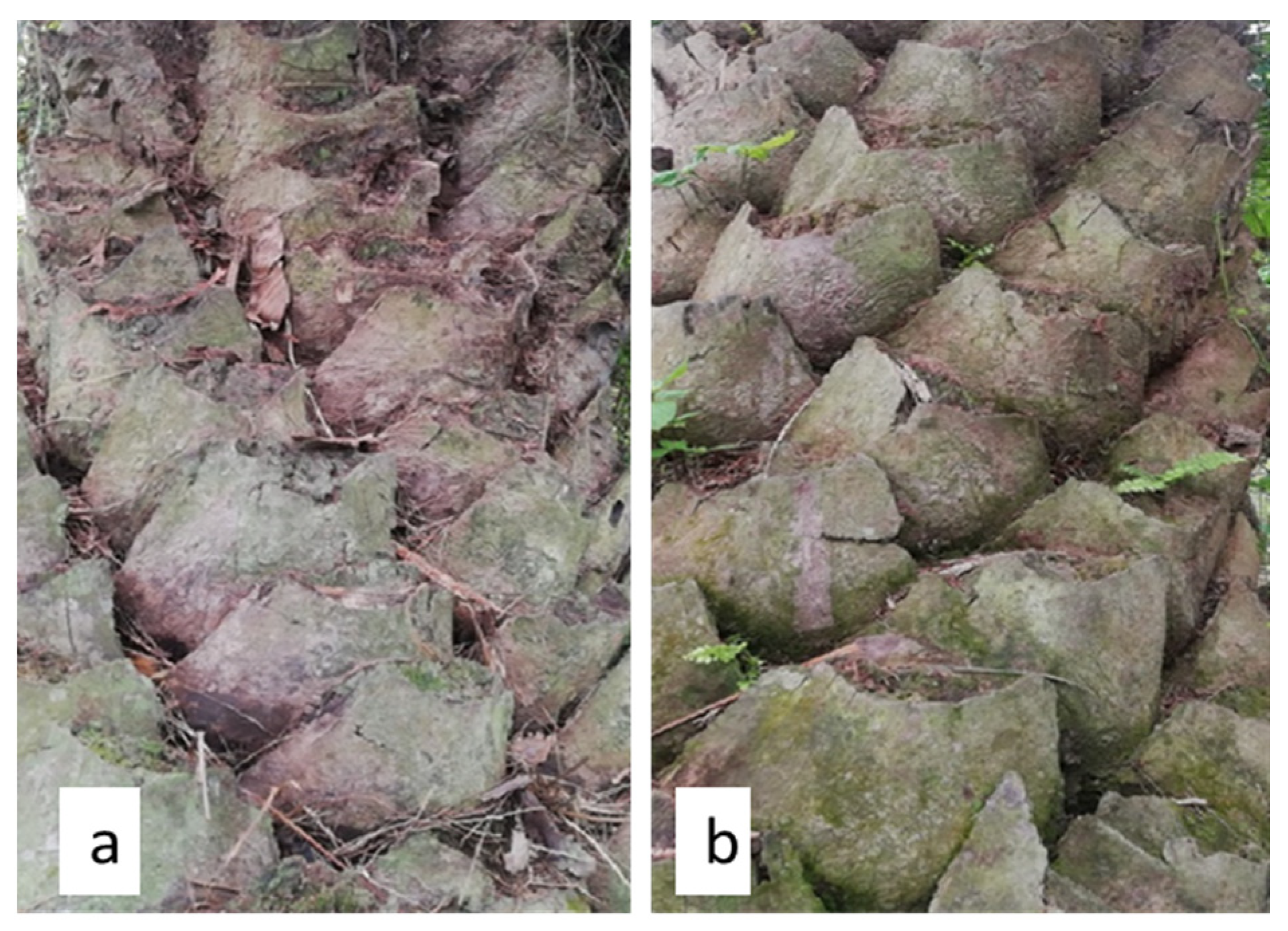 Agronomy 11 01380 g001