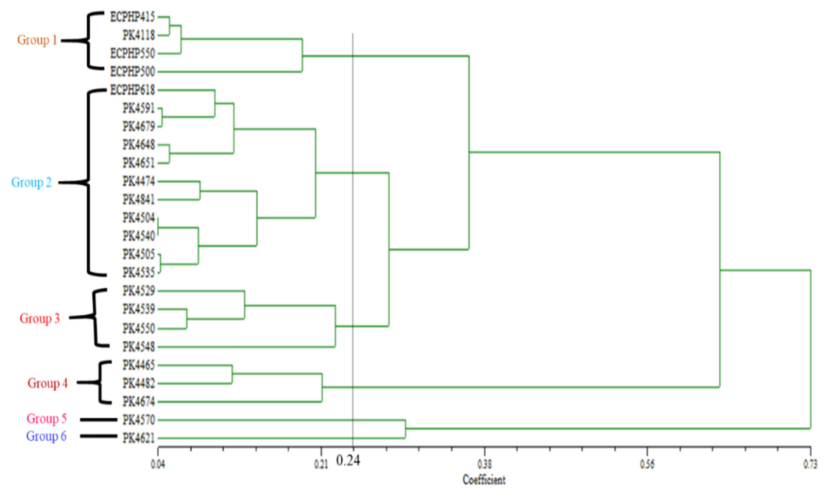 Agronomy 11 01380 g006