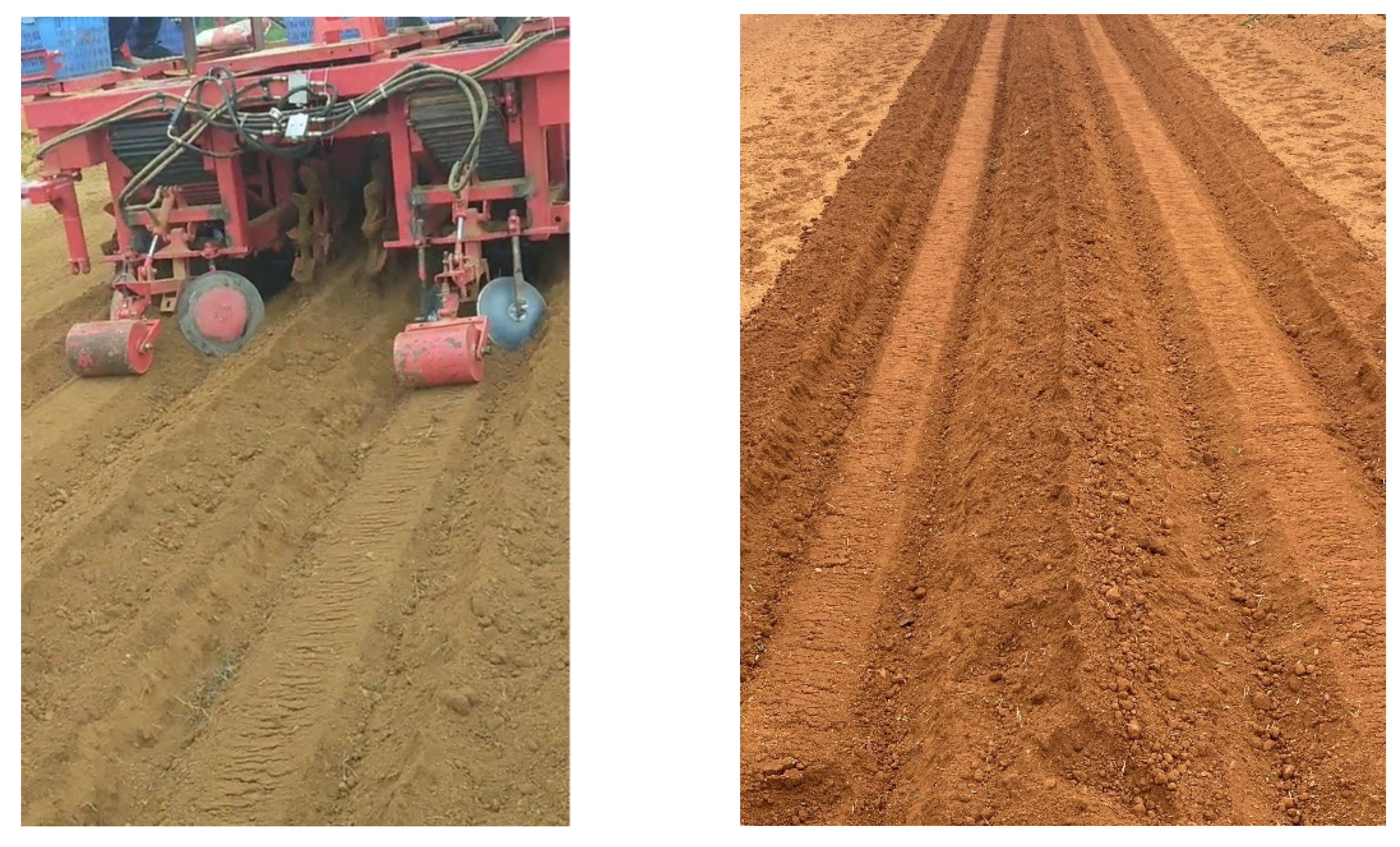 Agronomy 11 01382 g010 550