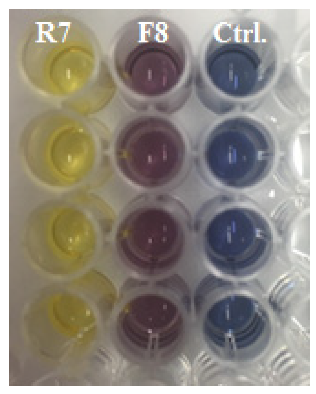 Agronomy 11 01384 g002