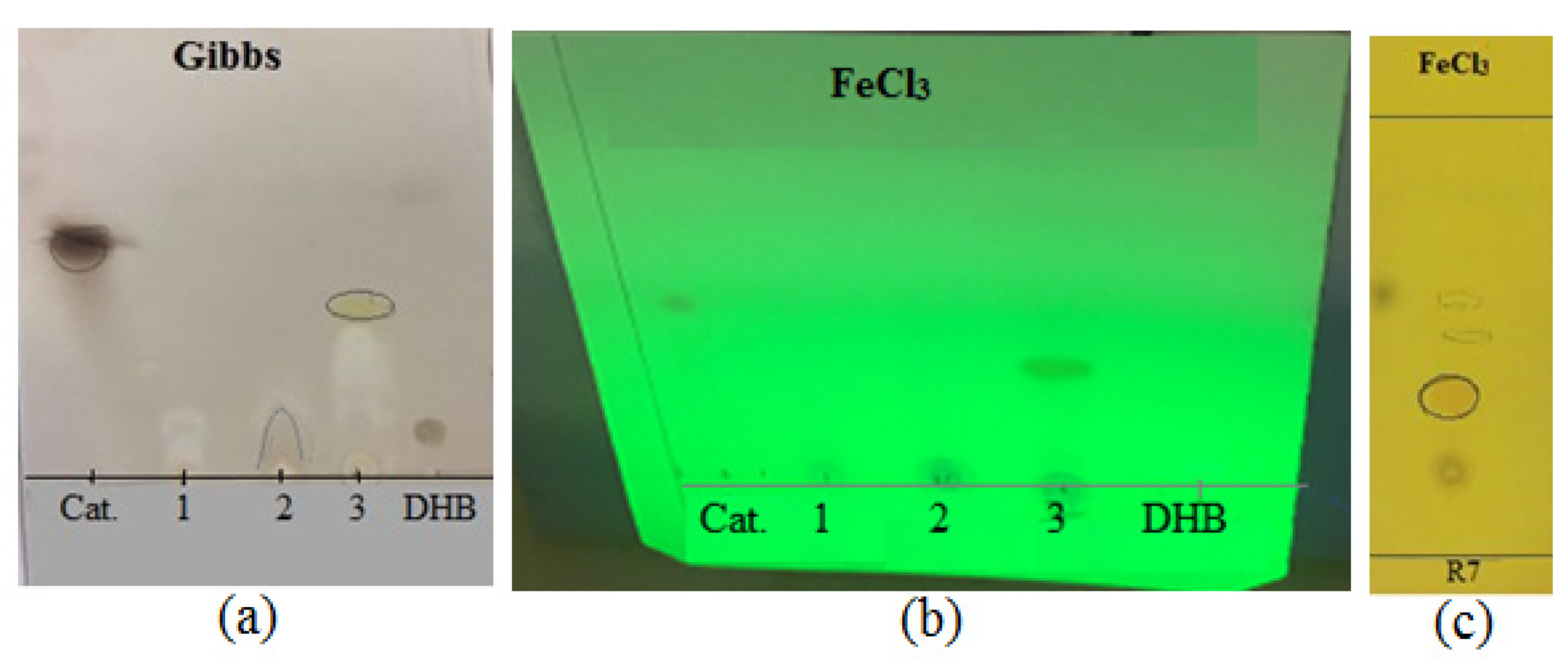 Agronomy 11 01384 g003