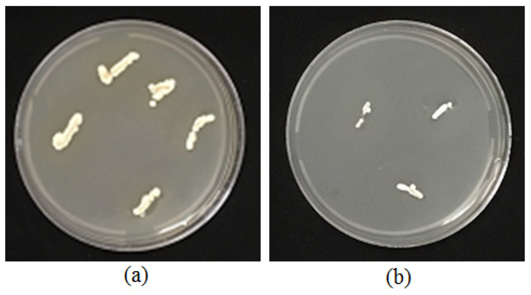 Agronomy 11 01384 g005