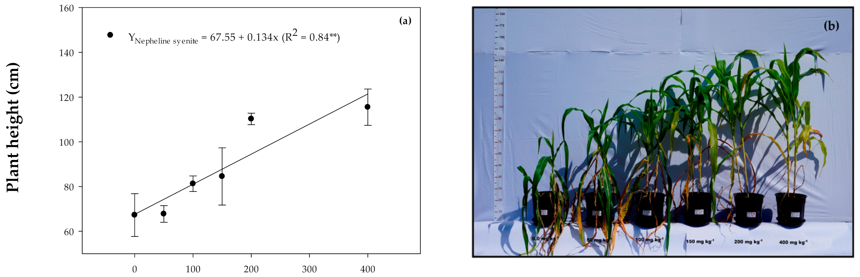 Agronomy 11 01385 g002a 550