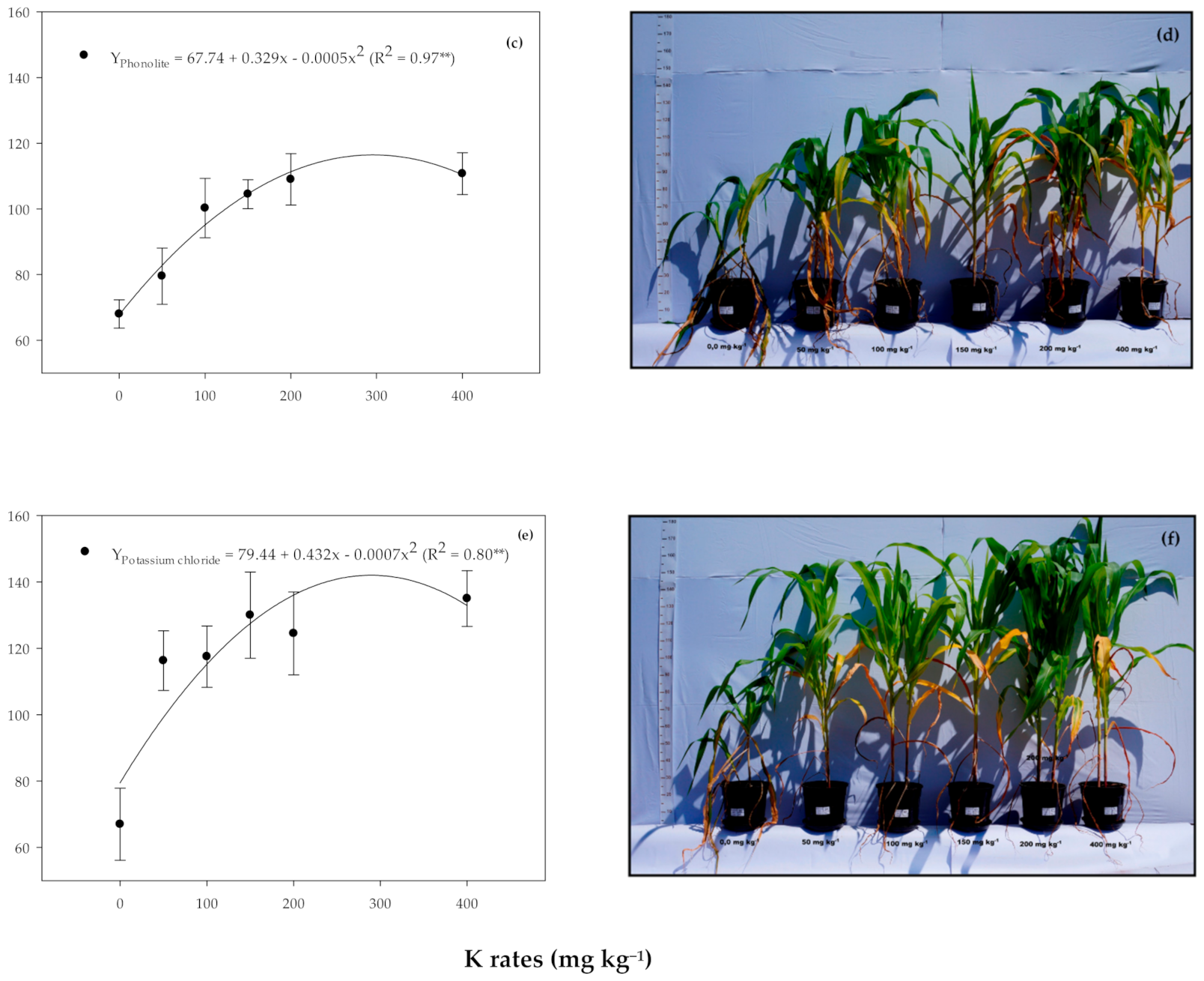 Agronomy 11 01385 g002b 550