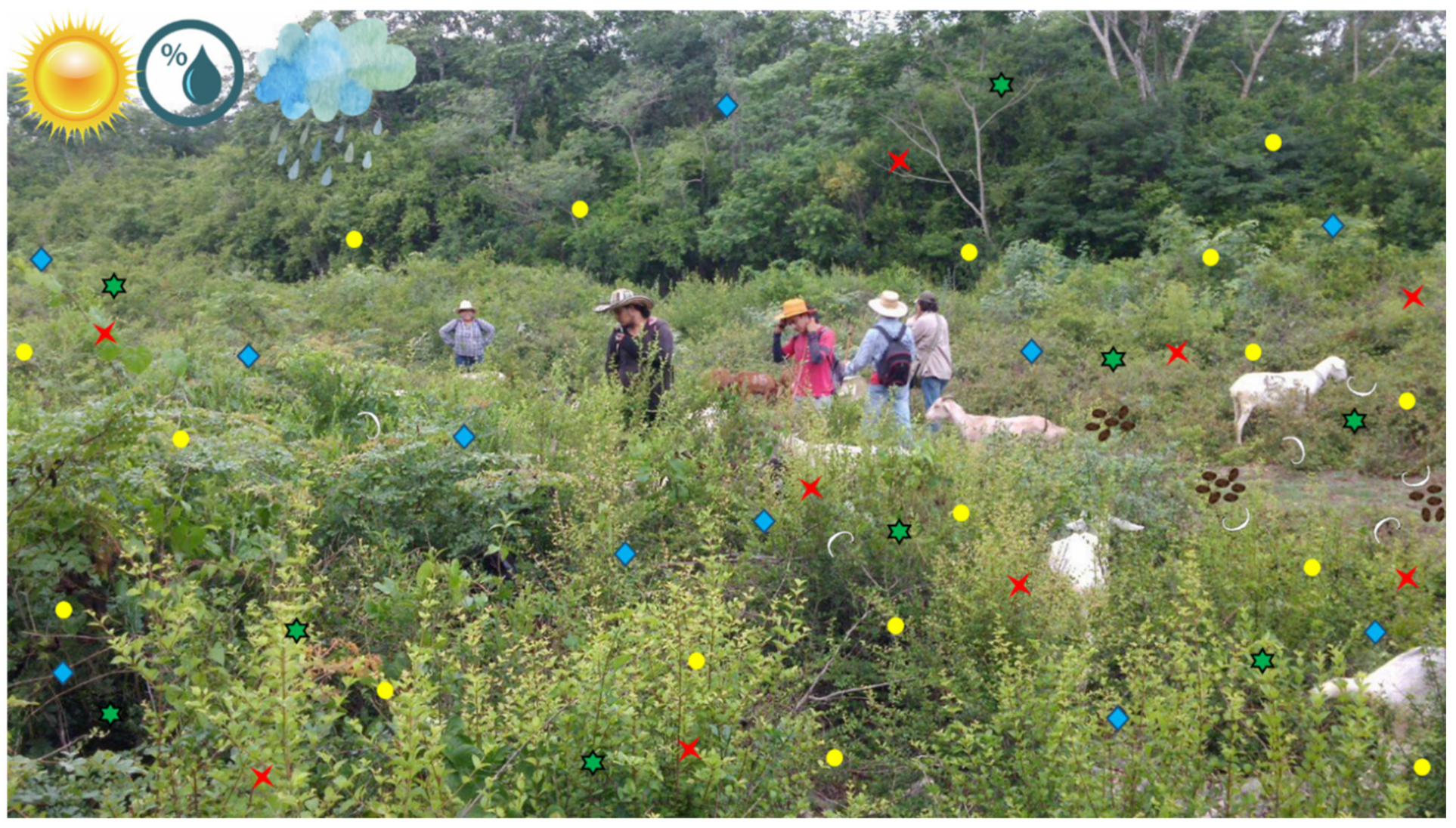 Agronomy 11 01403 g001 550