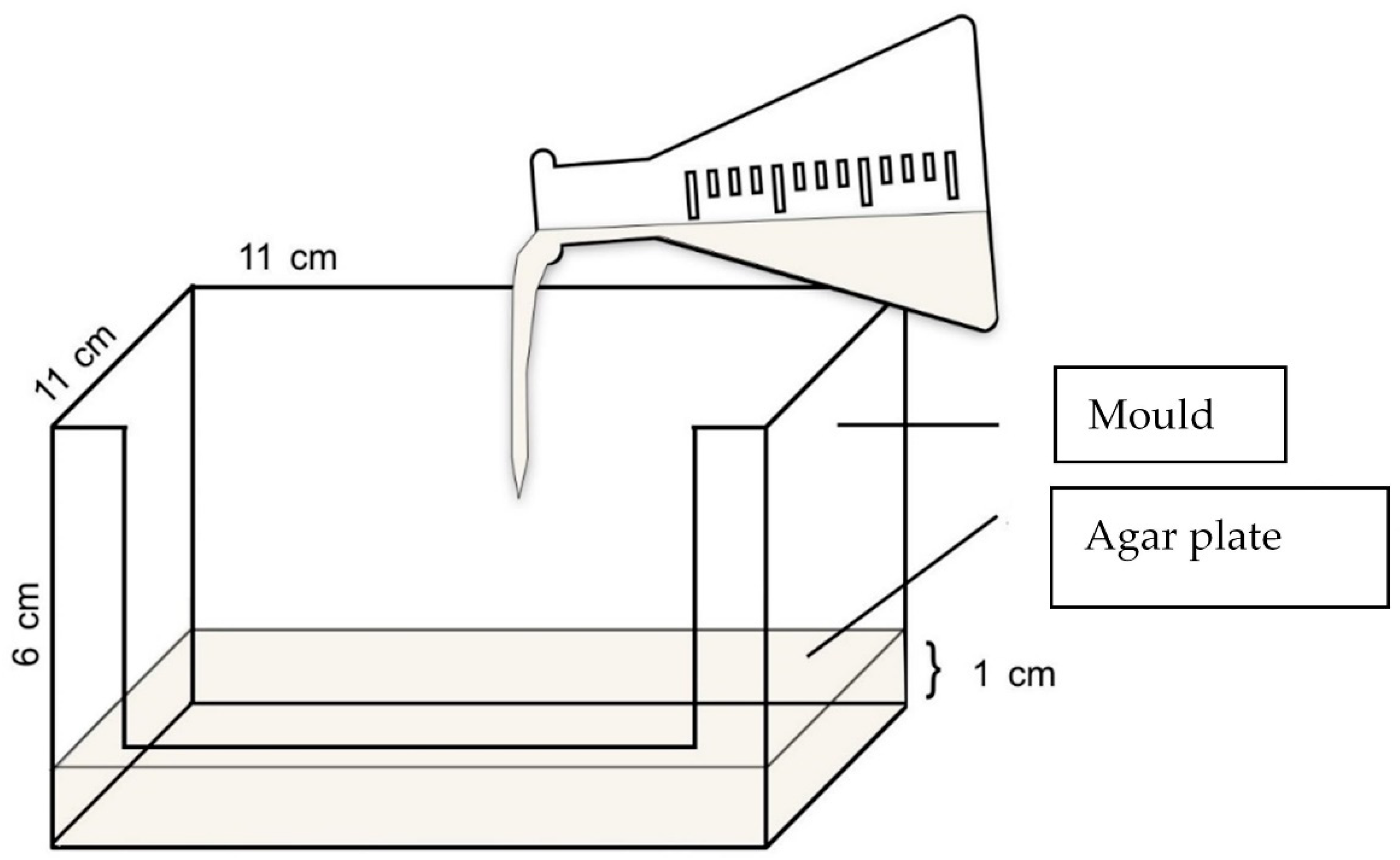Agronomy 11 01408 g002