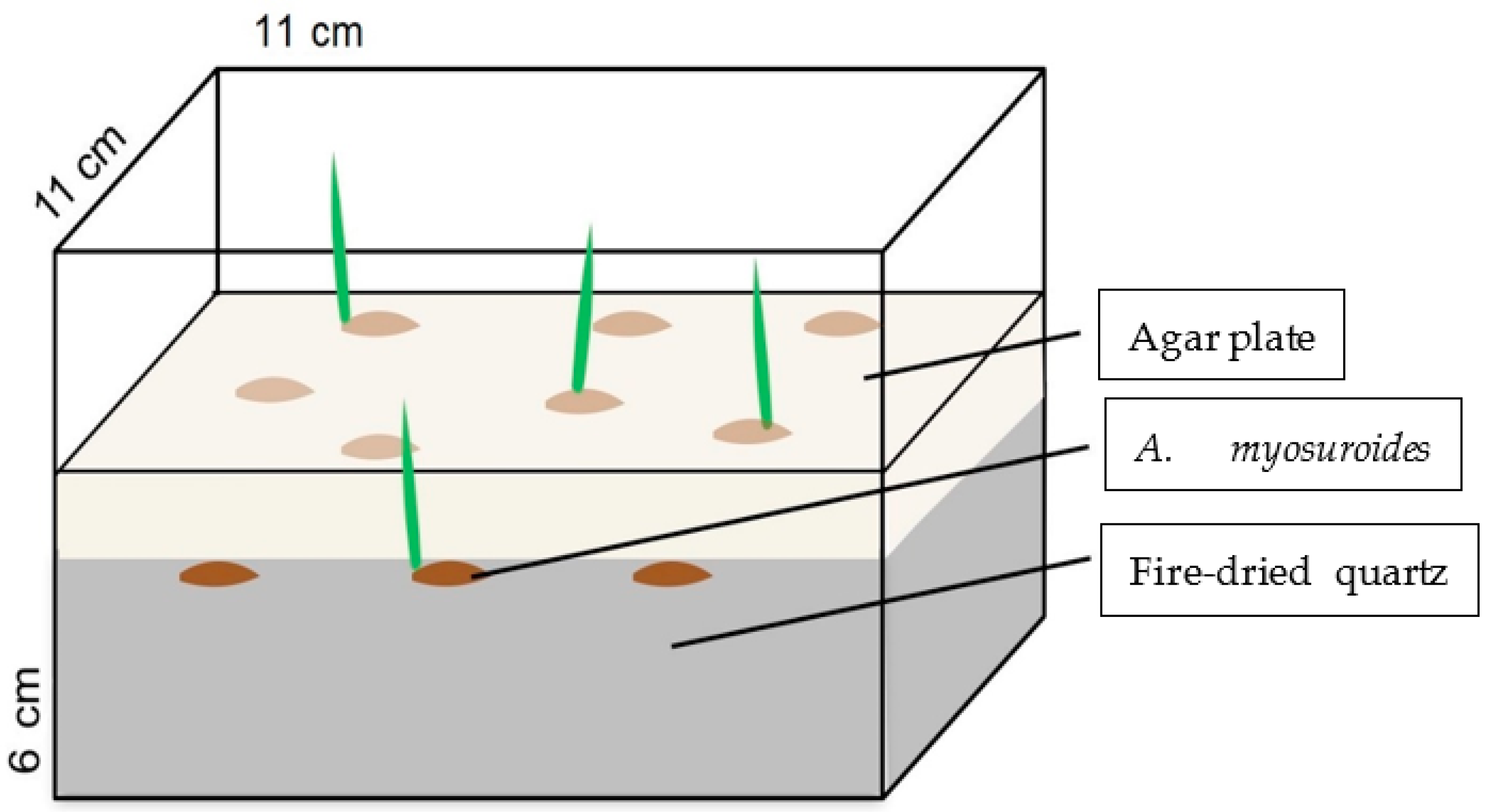 Agronomy 11 01408 g003