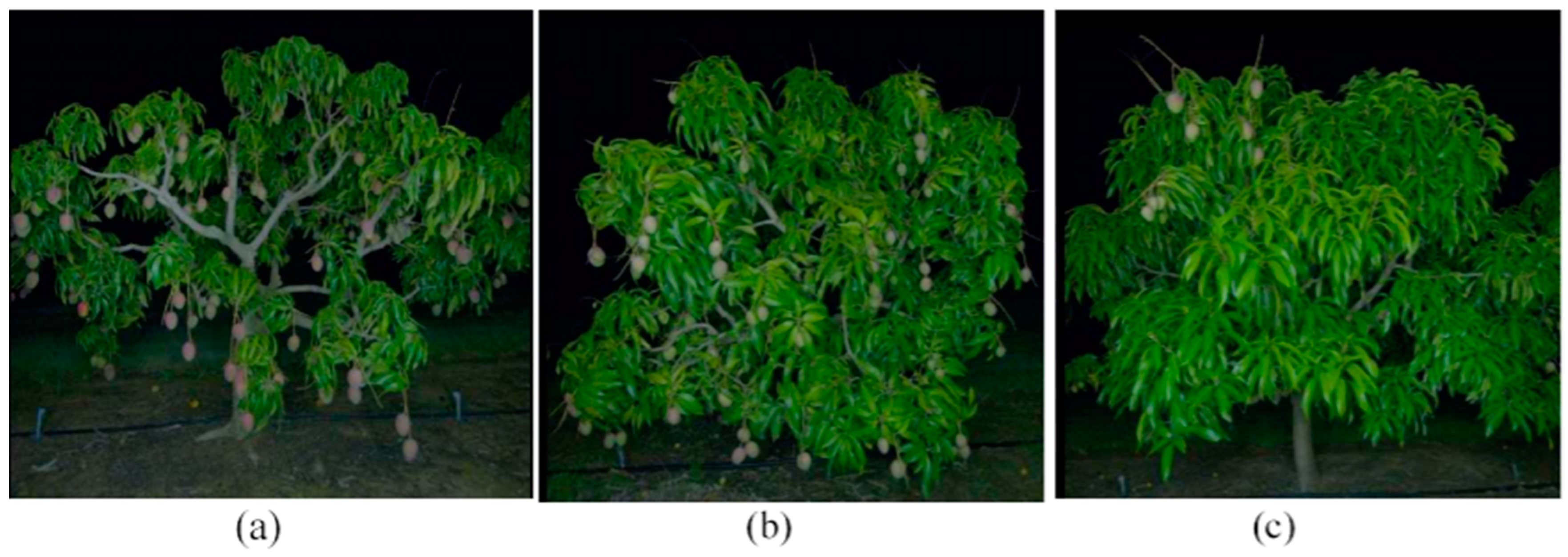 Agronomy 11 01409 g002 Agronomy 11 01409 g002