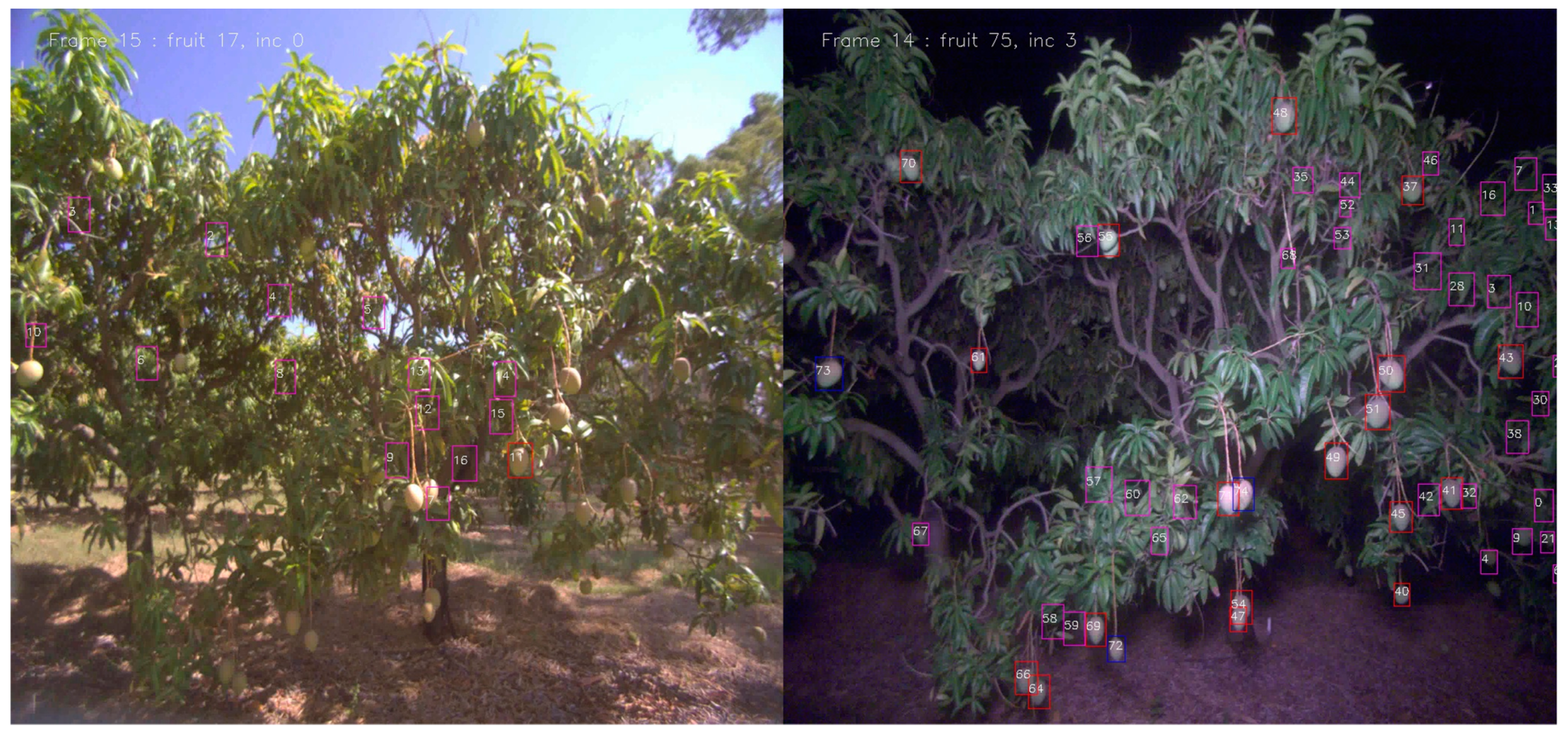 Agronomy 11 01409 g006 Agronomy 11 01409 g006