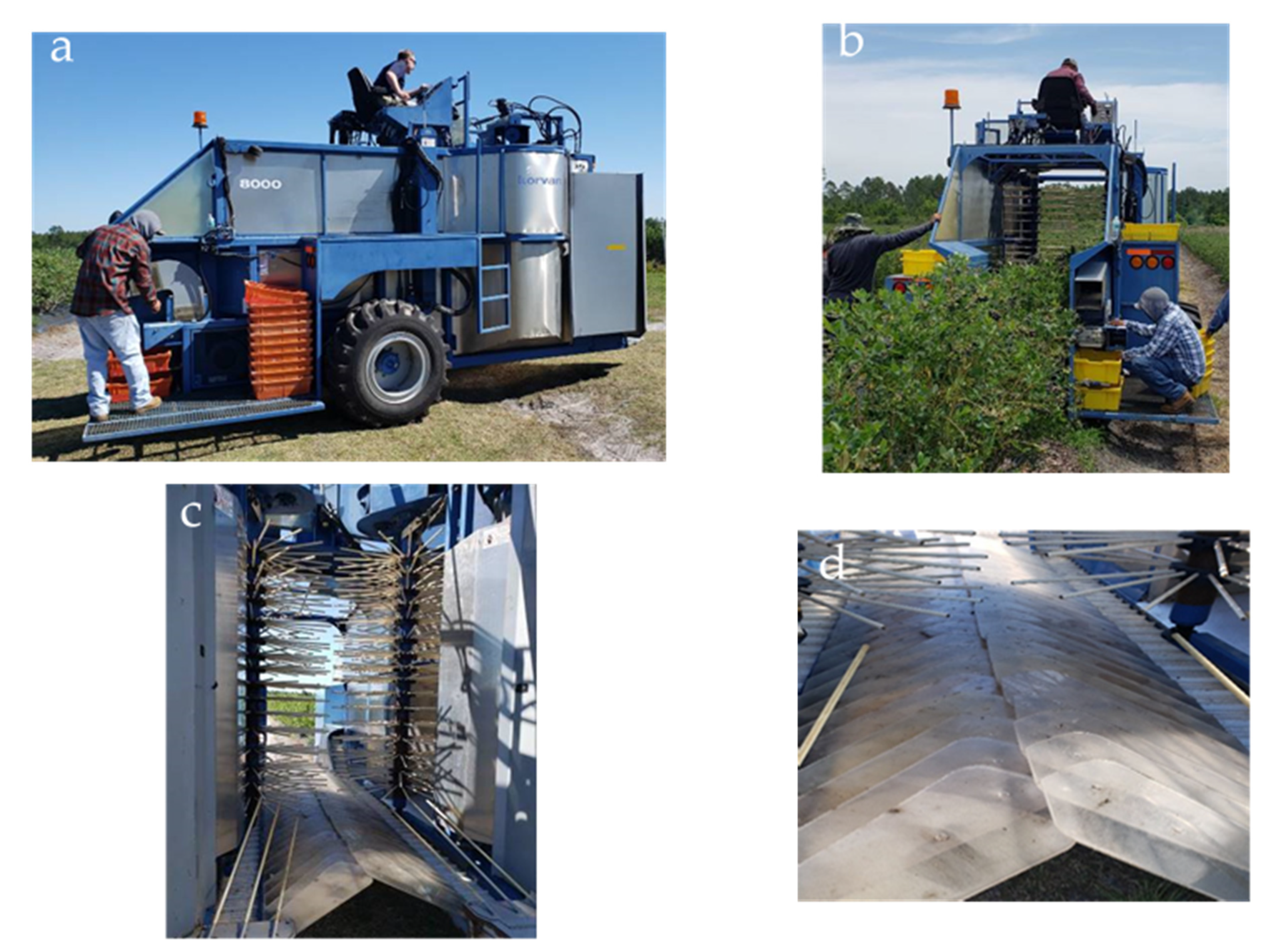 Agronomy 11 01412 g001 550