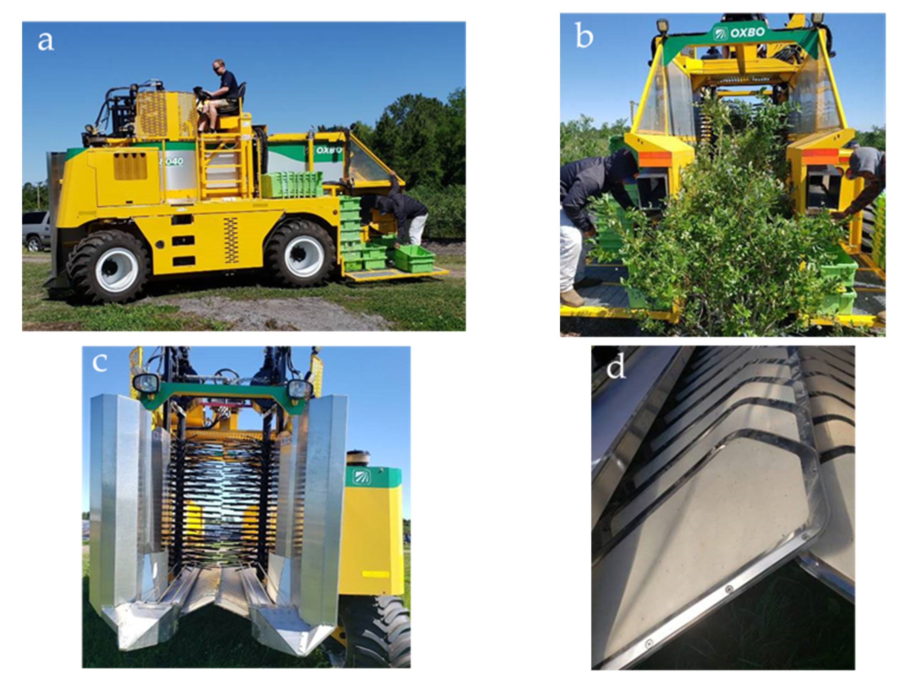 Agronomy 11 01412 g002 550