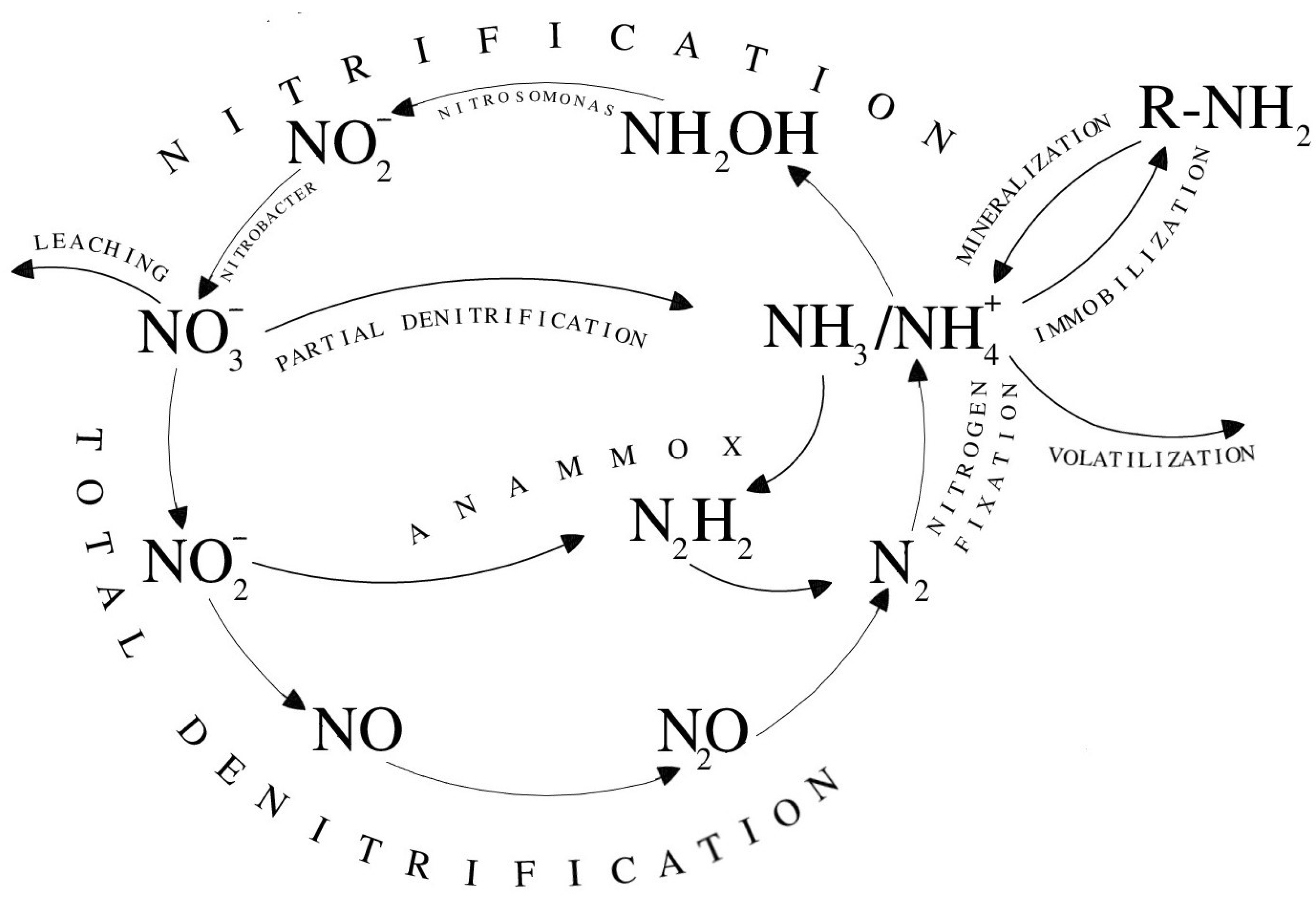 Agronomy 11 01415 g002 Agronomy 11 01415 g002