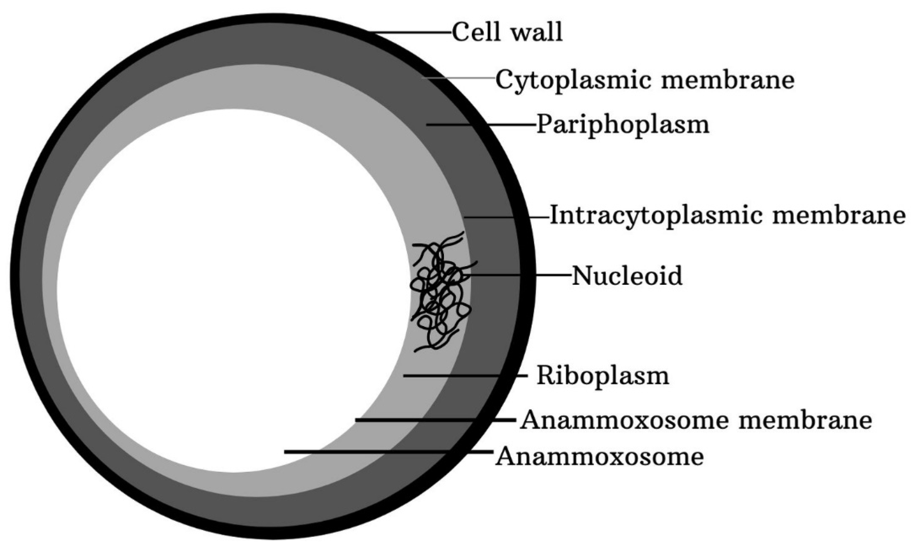 Agronomy 11 01415 g003 Agronomy 11 01415 g003