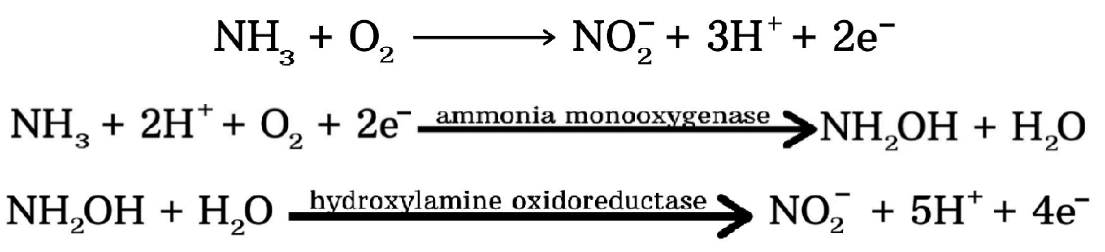 Agronomy 11 01415 sch002 Agronomy 11 01415 sch002