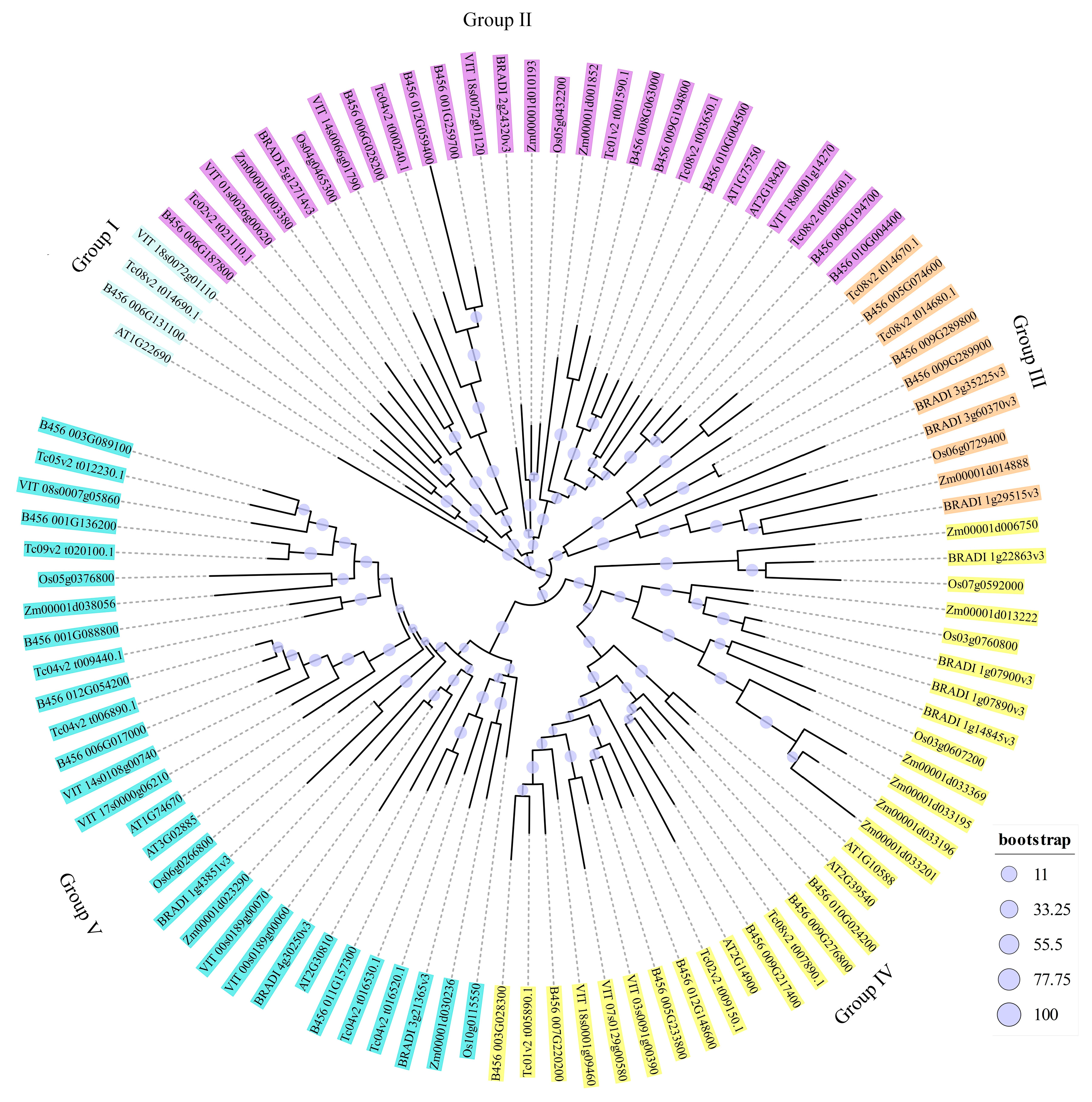 Agronomy 11 01425 g004 Agronomy 11 01425 g004